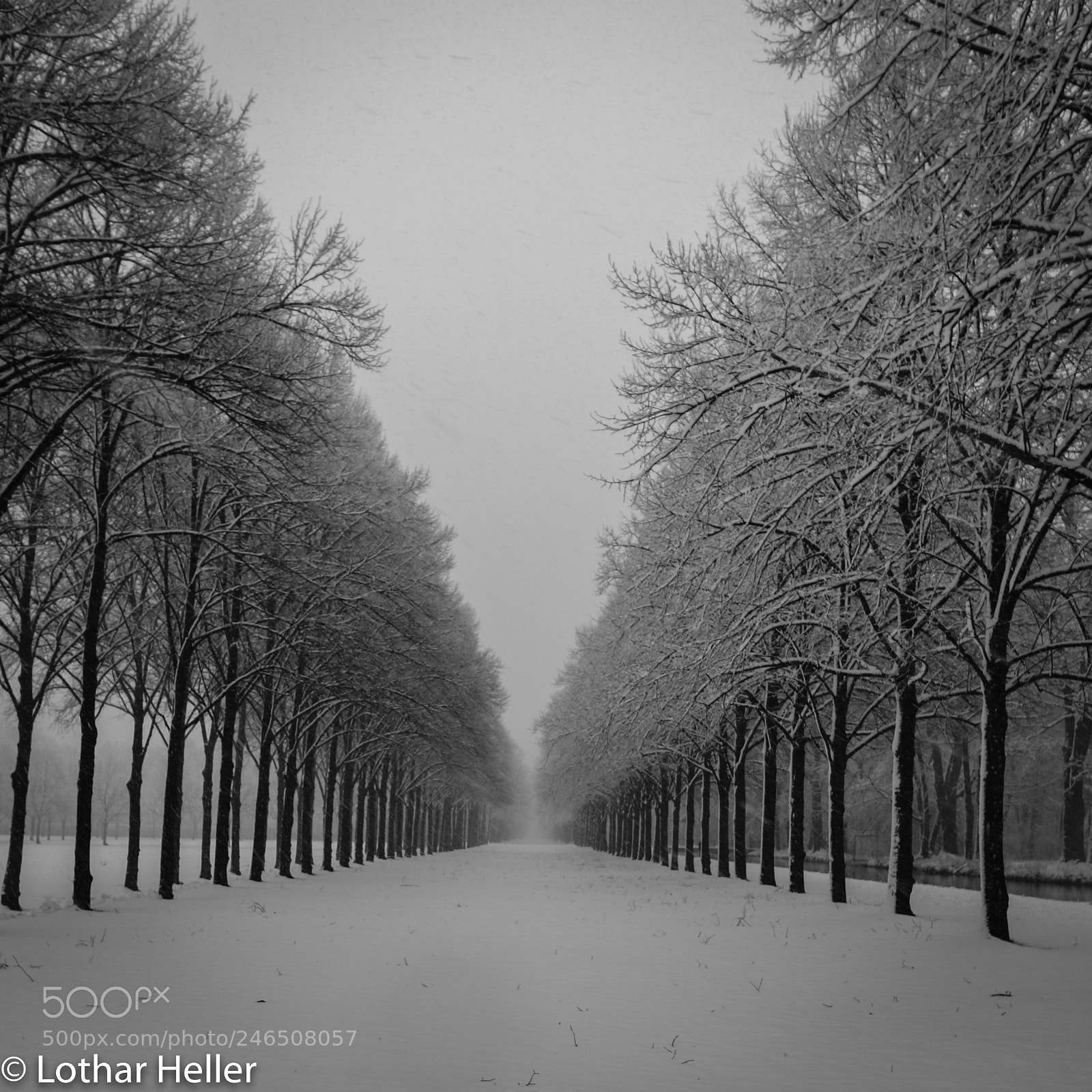 Canon EOS 750D (EOS Rebel T6i / EOS Kiss X8i) sample photo. Germany winter bw photography