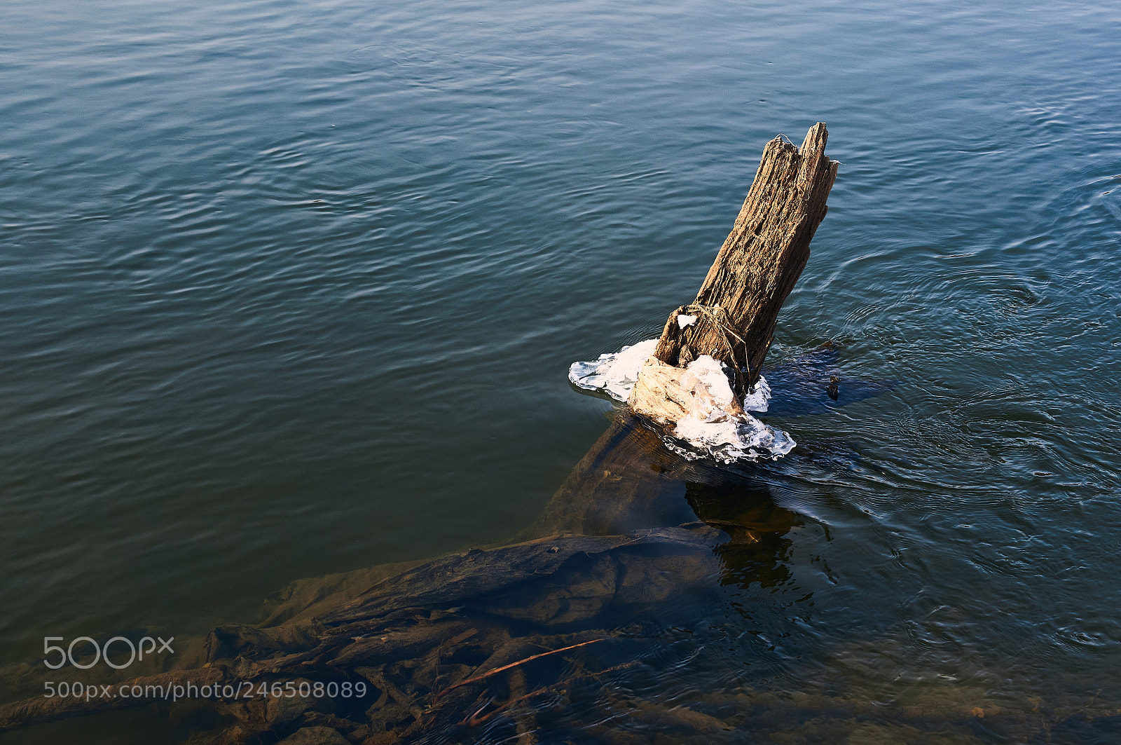 Sony SLT-A57 sample photo. Untitled photography