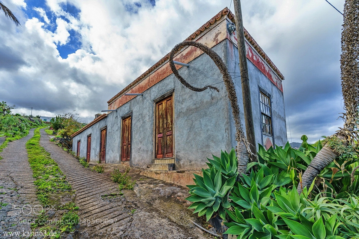 Sony a7 II sample photo. La palma photography