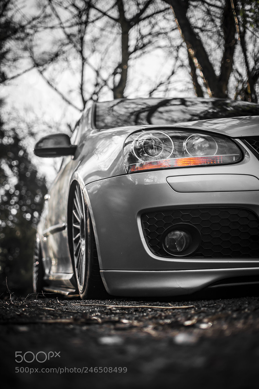 Nikon D7100 sample photo. Dub photography