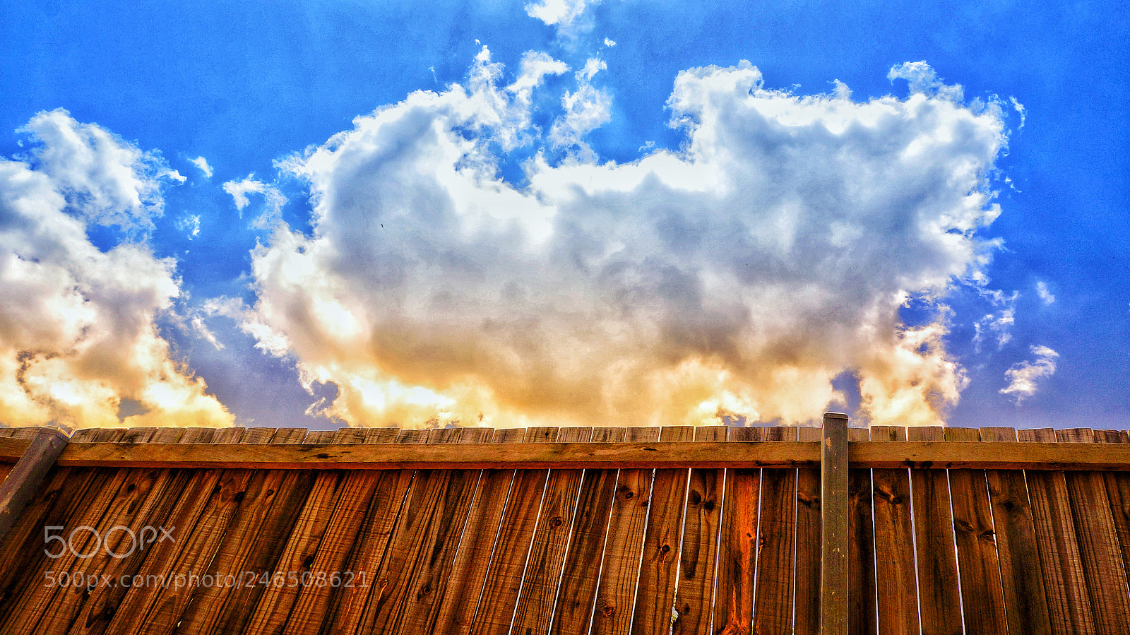 Sony Alpha NEX-5N sample photo. Untitled photography