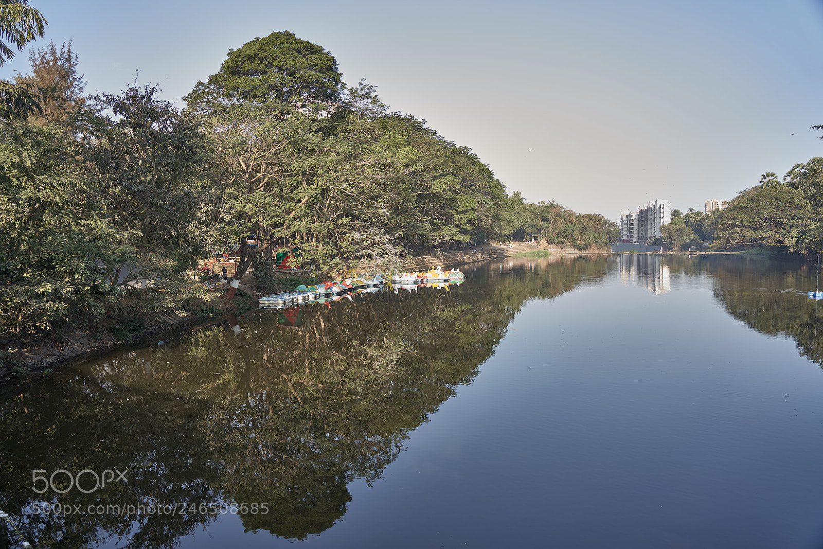 Sony a7R III sample photo. Untitled photography