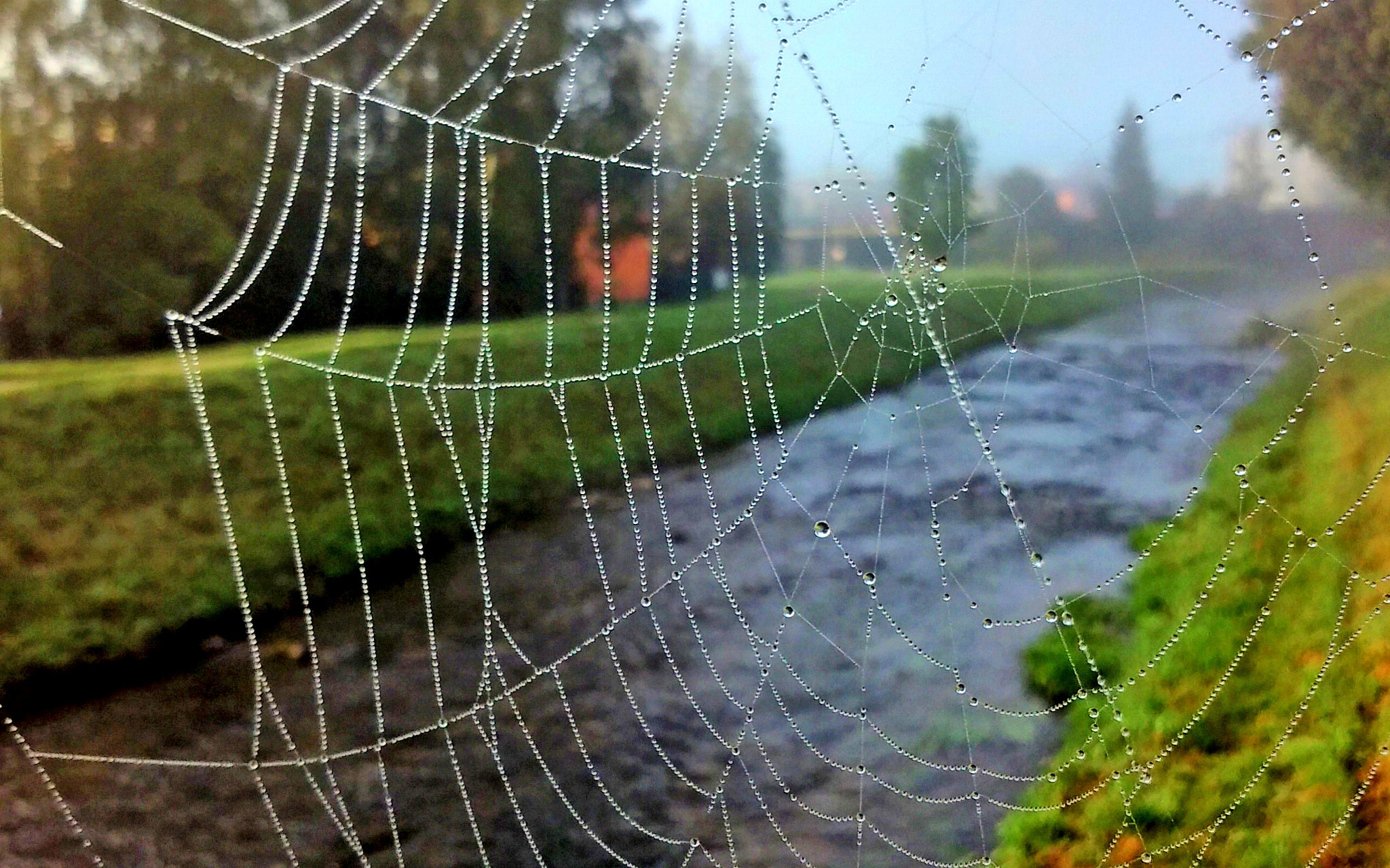 LG LEON 4G LTE sample photo. Drops in the web photography
