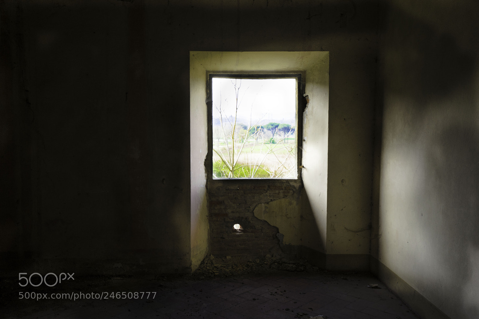 Sony a7 II sample photo. Cascine tavola finestra ab photography