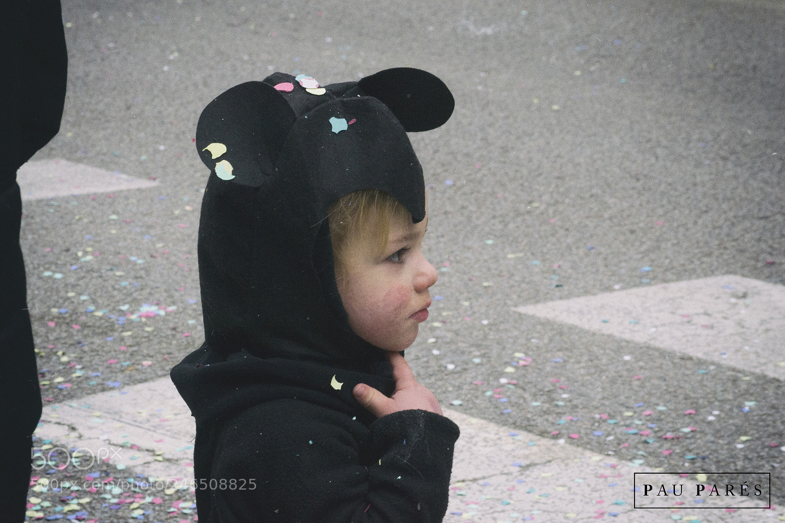Nikon D3100 sample photo. ... photography