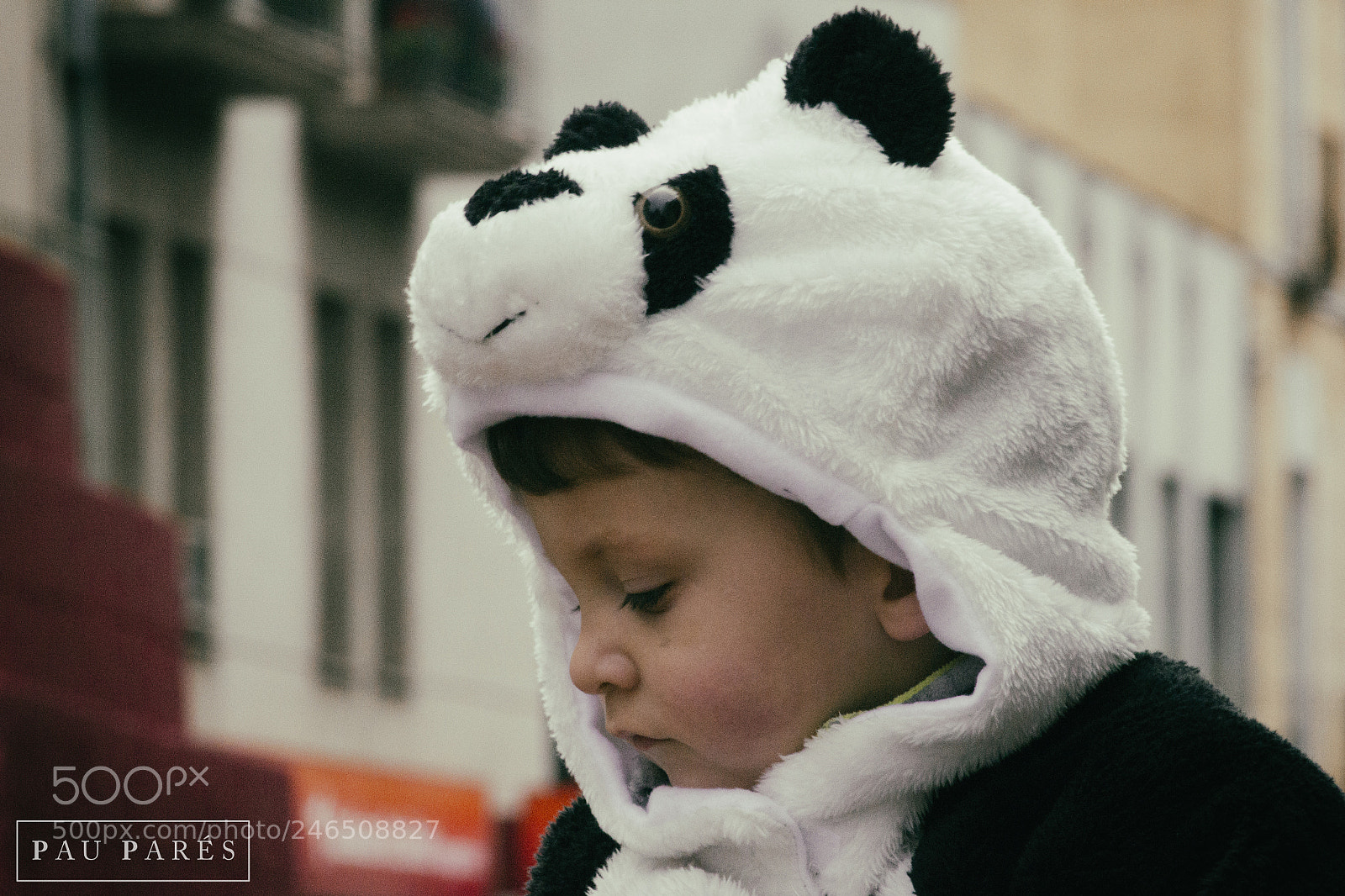 Nikon D3100 sample photo. ... photography