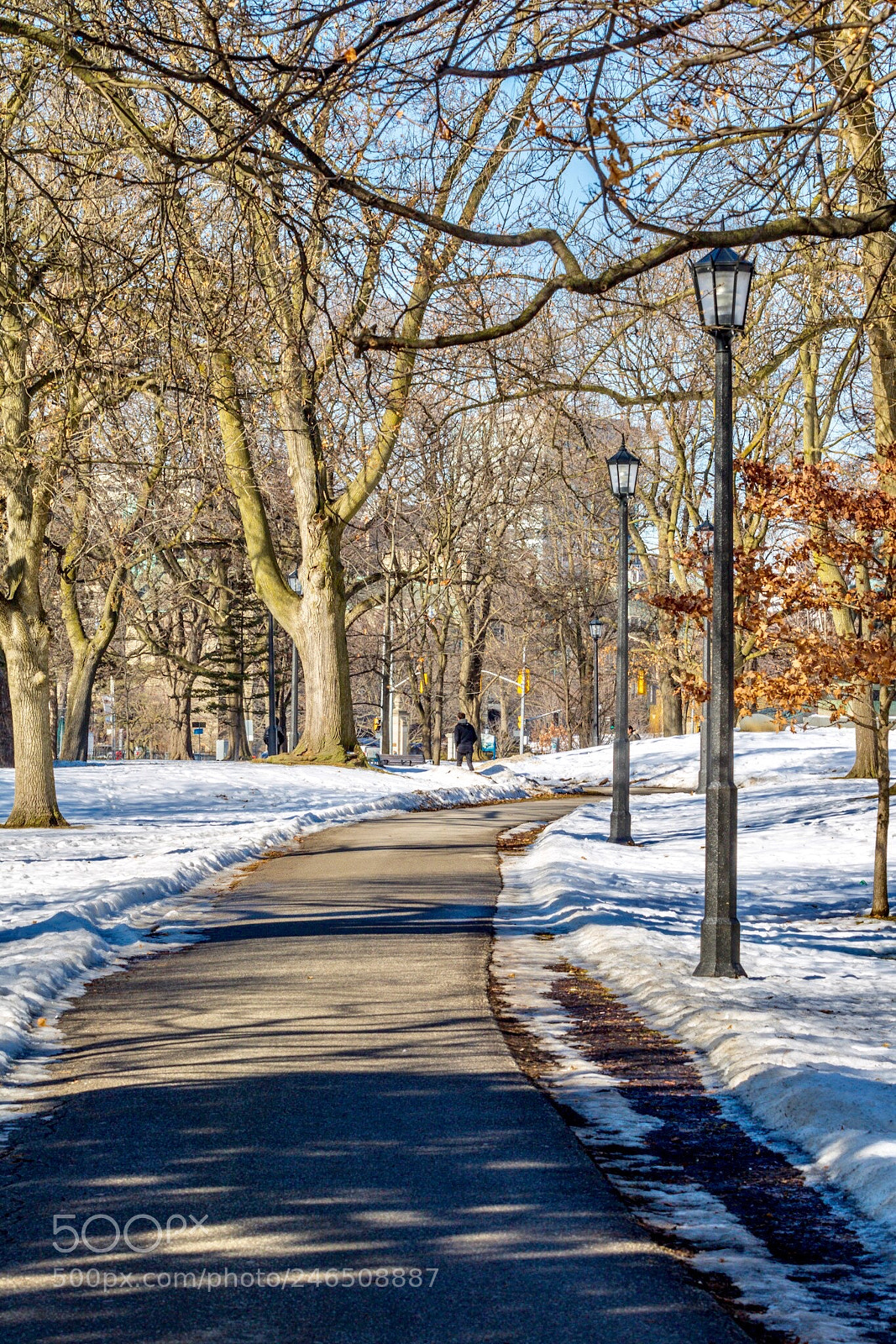 Canon EOS 750D (EOS Rebel T6i / EOS Kiss X8i) sample photo. Queen's park, toronto photography