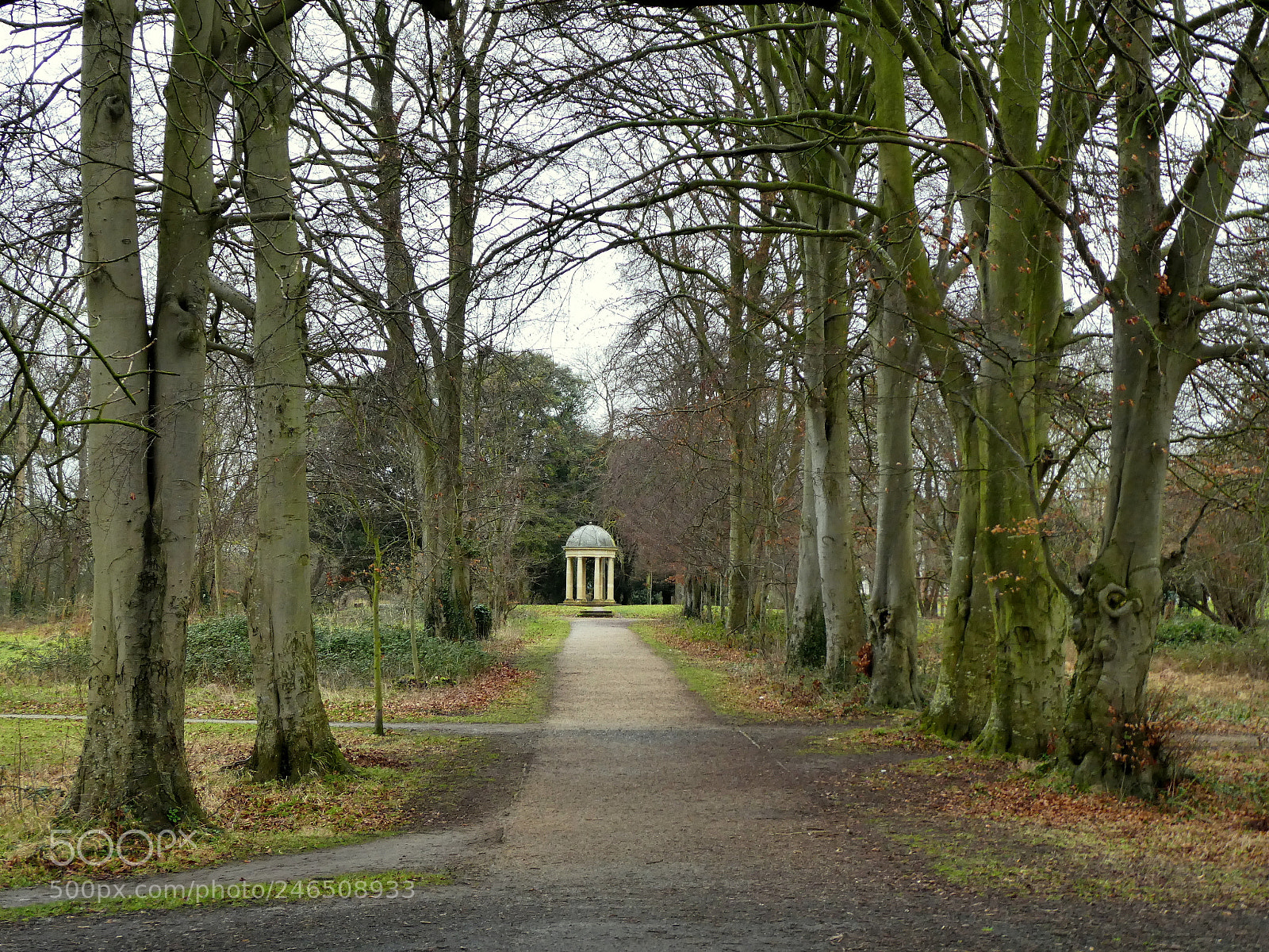 Panasonic DMC-TZ81 sample photo. Santry park photography