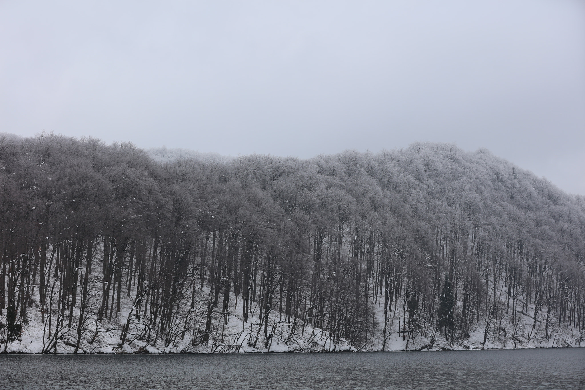 Canon EOS 5DS R sample photo. Plitvicka photography