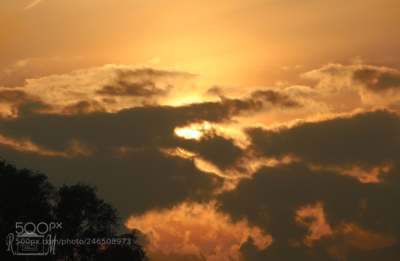 Canon EOS 600D (Rebel EOS T3i / EOS Kiss X5) sample photo. Ordinary dusk, extraordinary view. photography