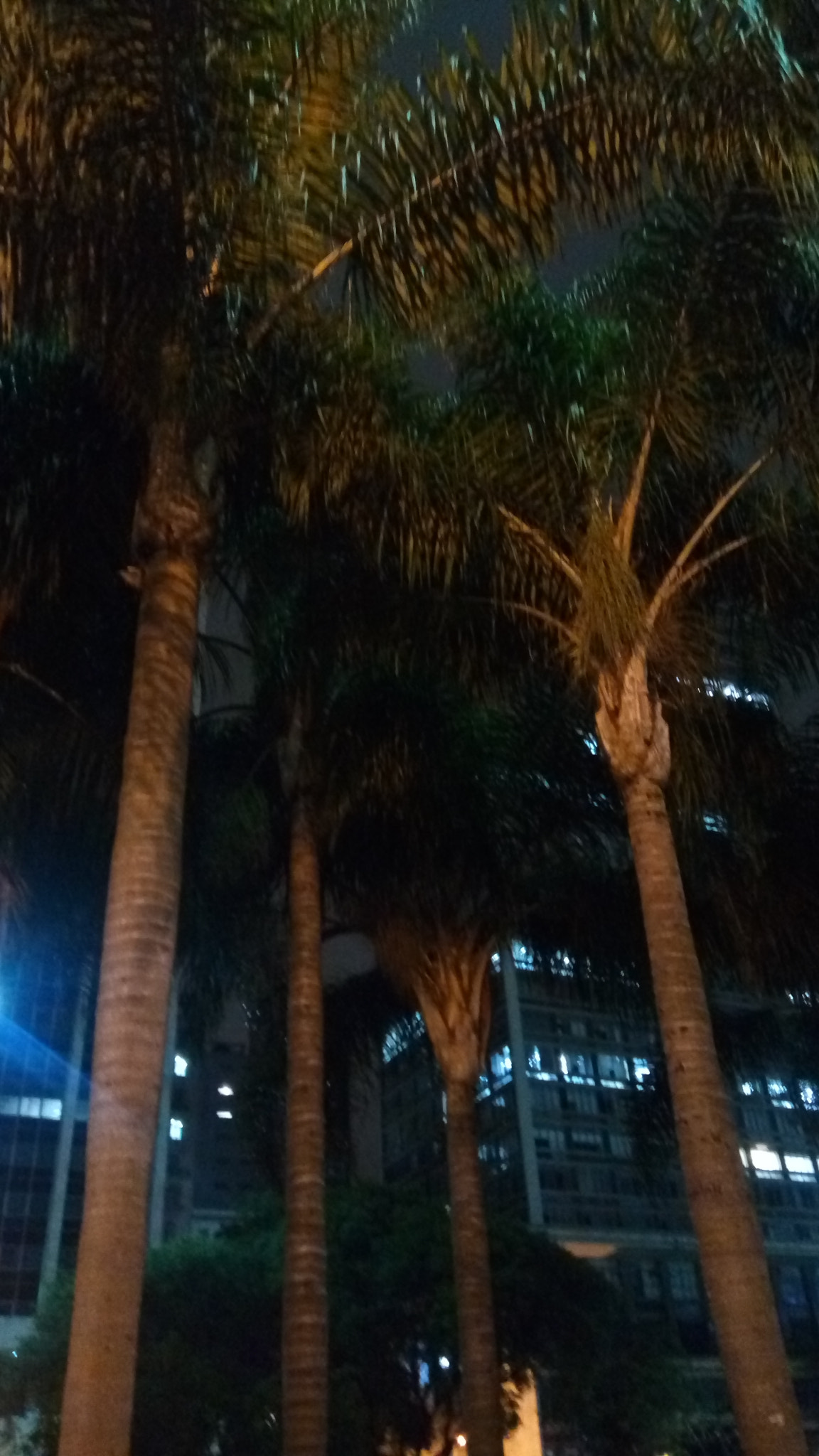 Lenovo VIBE X3 LITE sample photo