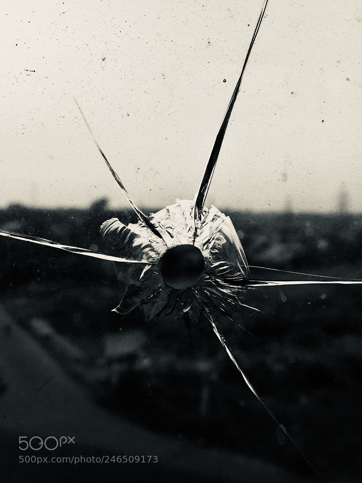 Apple iPhone 6 sample photo. Untitled photography