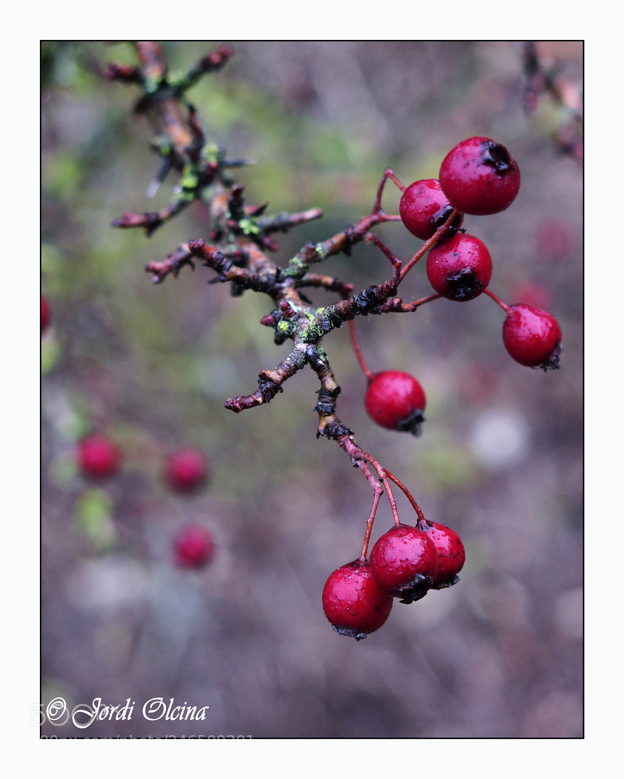 Canon PowerShot G16 sample photo. Endrino photography