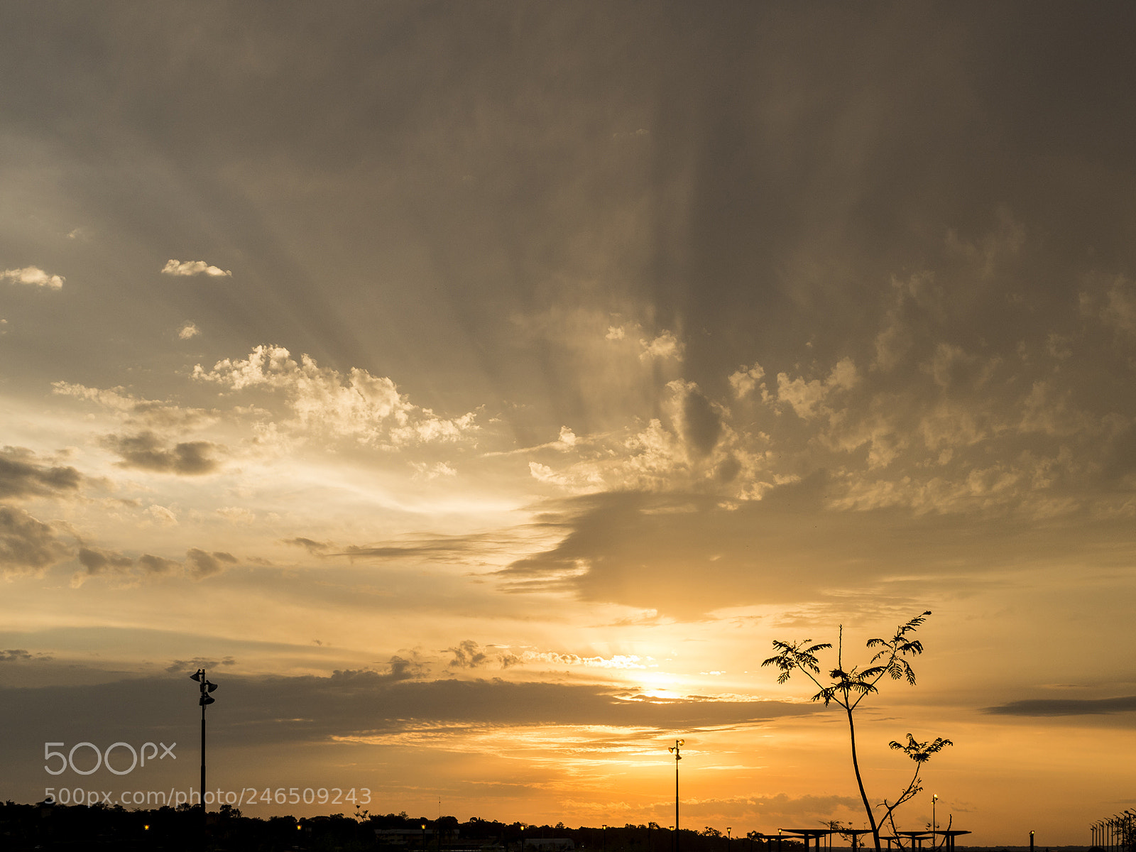 Olympus OM-D E-M10 II sample photo. Good ending. photography