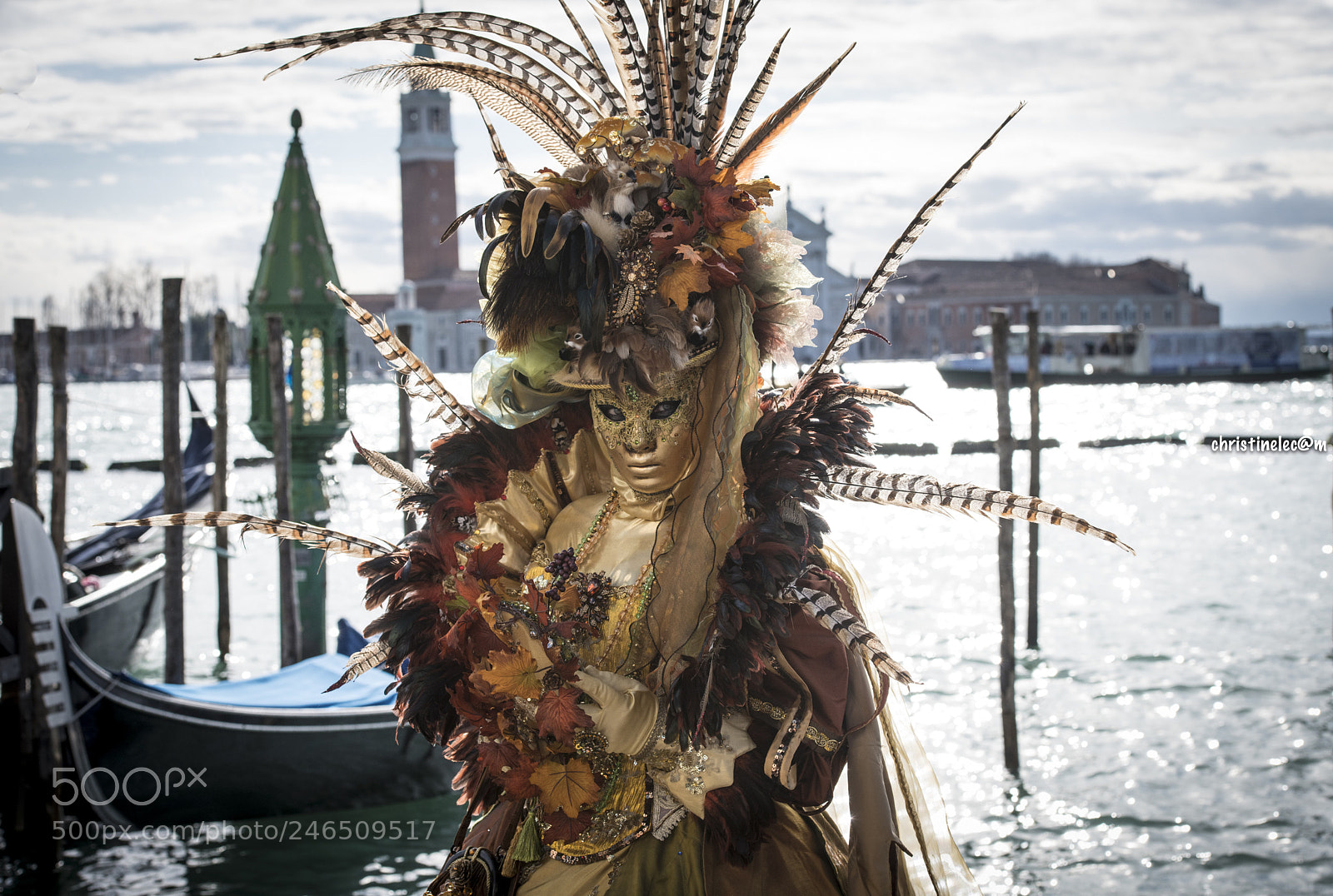 Nikon D850 sample photo. Venetian carnival photography