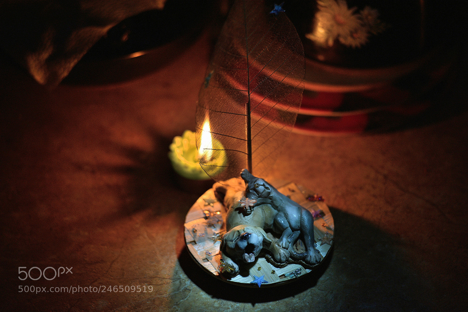 Nikon D810 sample photo. под парусом ближе к ночи photography