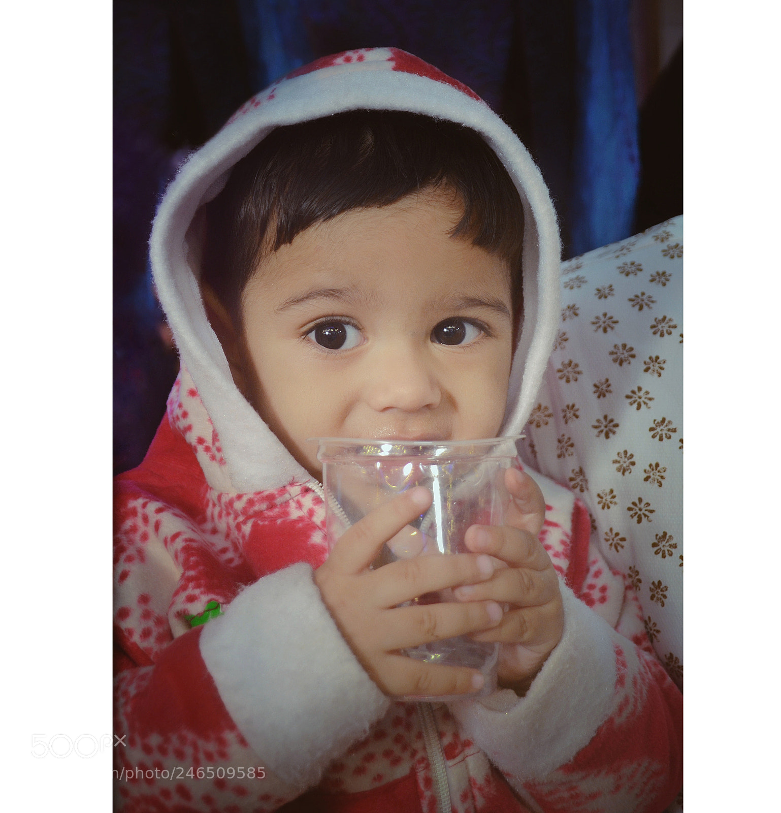 Nikon D3100 sample photo. [] photography