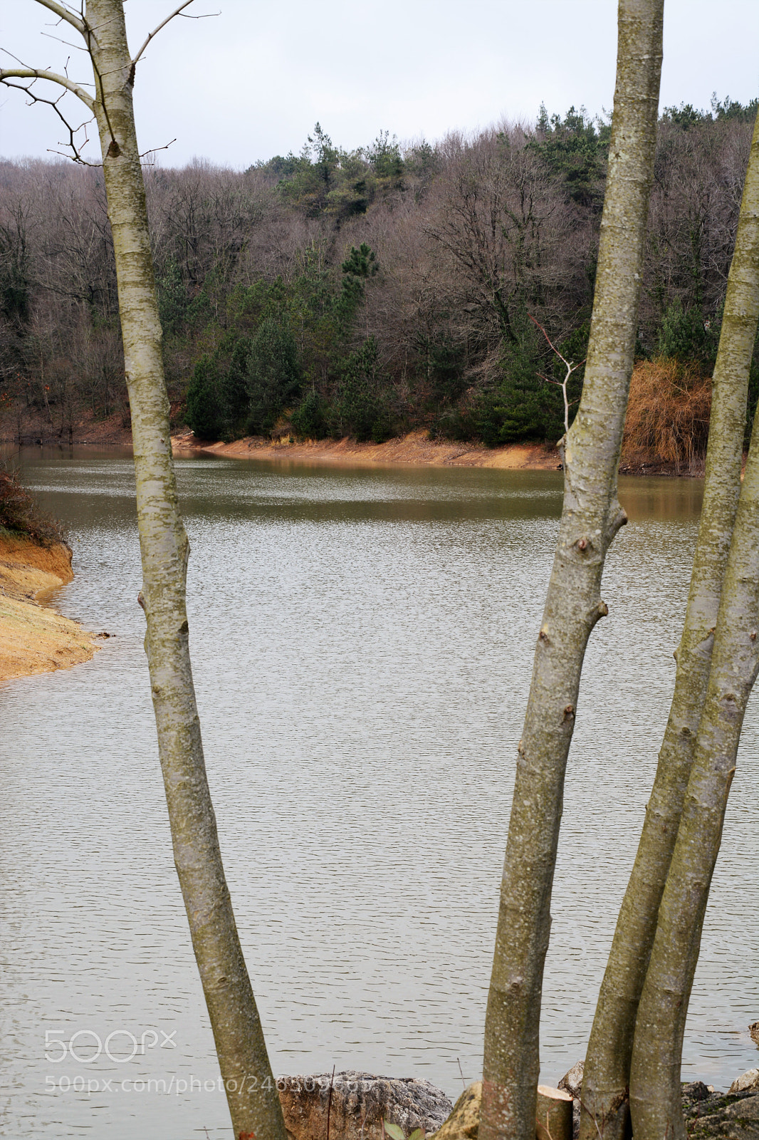 Nikon D7100 sample photo. Nature photography