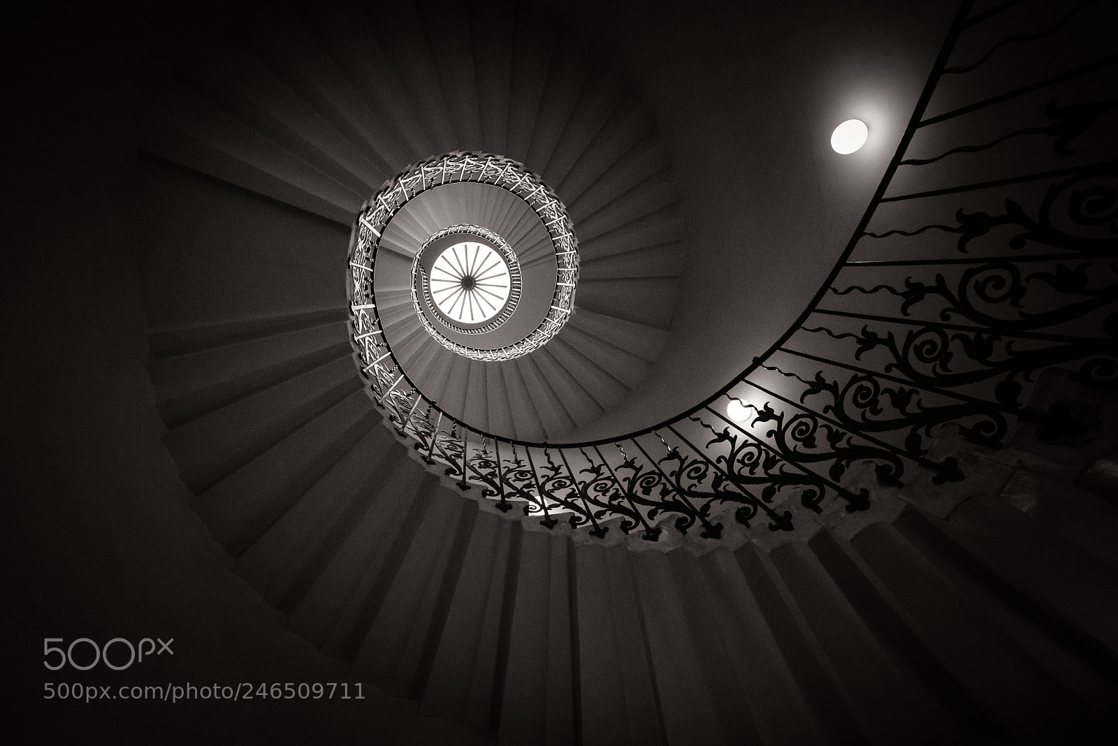 Nikon D610 sample photo. Game of shadows photography