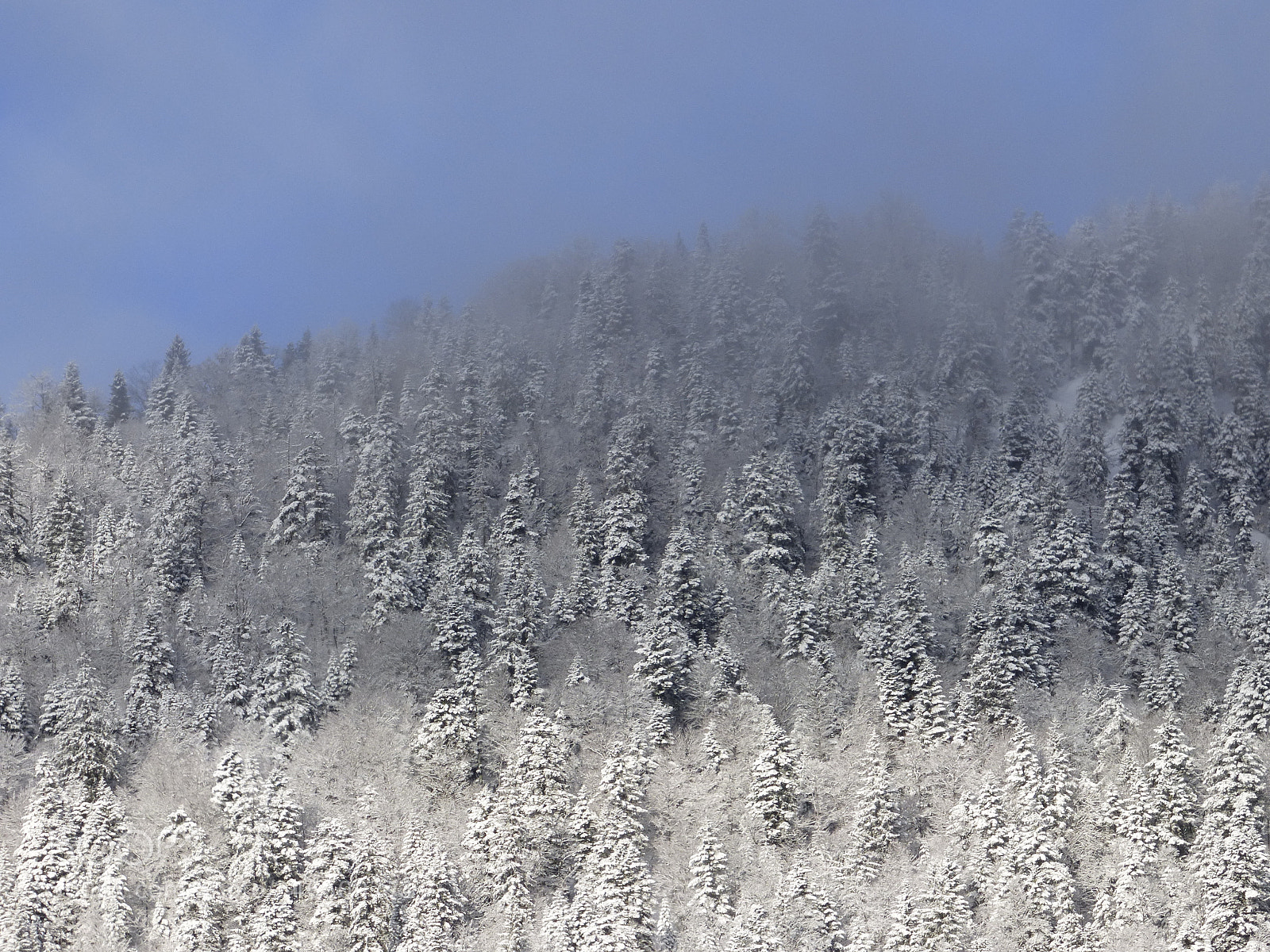 Panasonic DMC-FZ72 sample photo. Amazing snow scenery photography