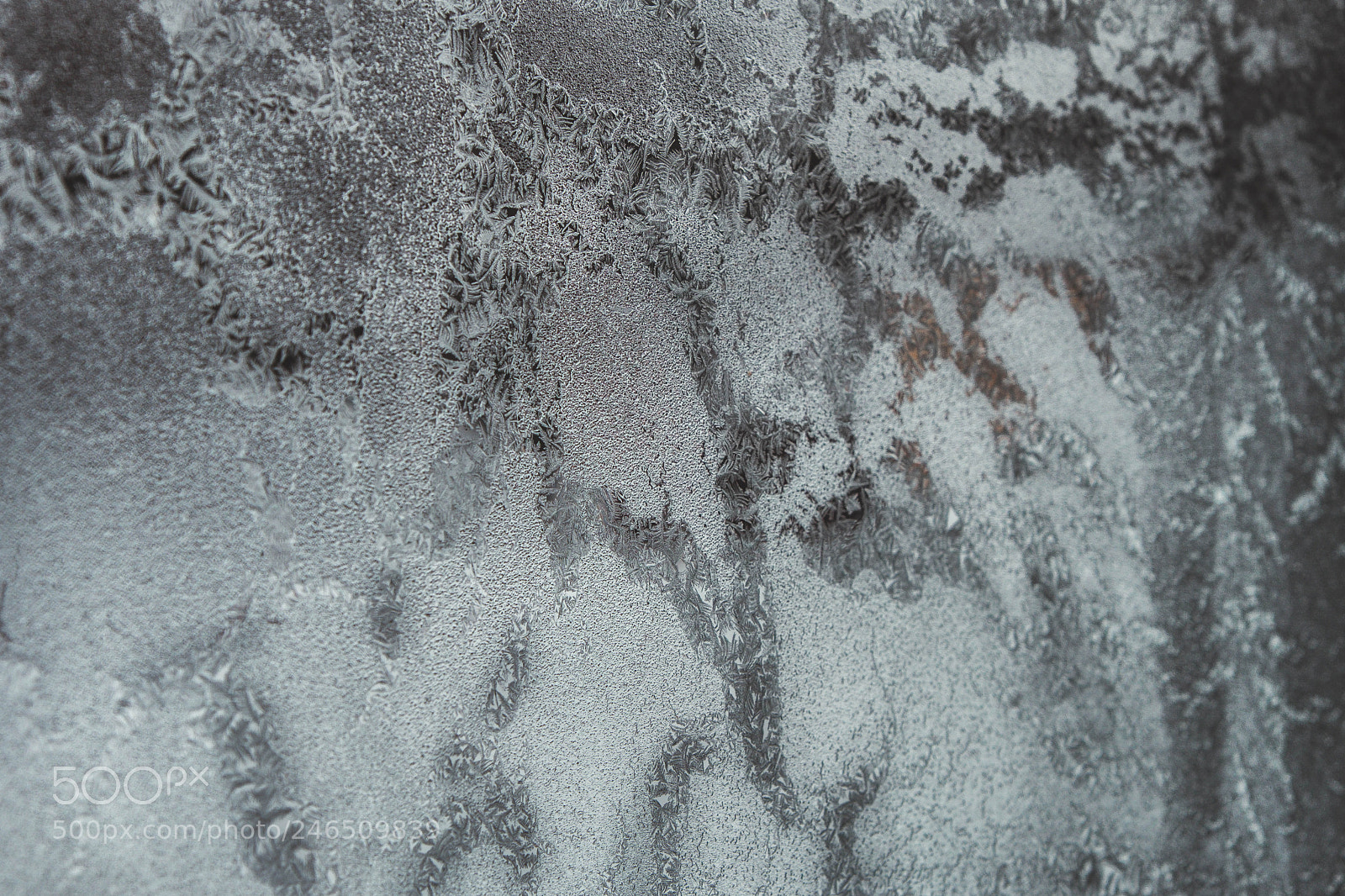 Fujifilm X-T20 sample photo. Frost glass photography
