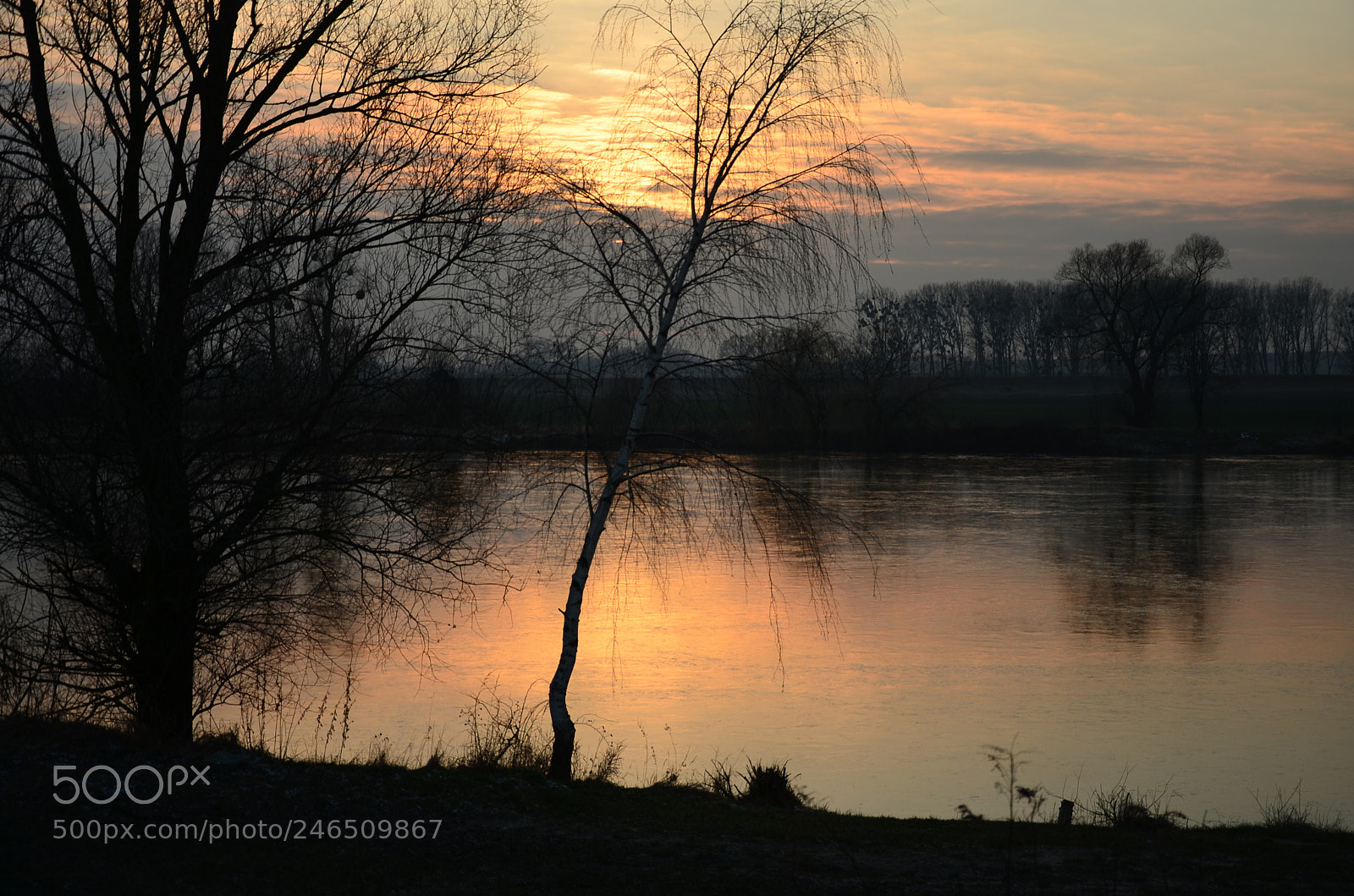 Nikon D5100 sample photo. 291 photography