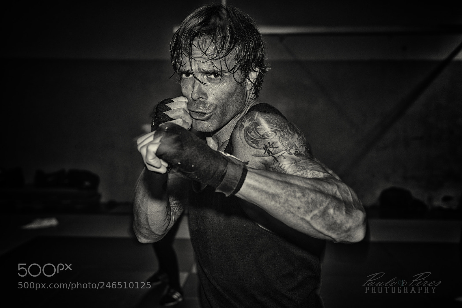 Nikon D800 sample photo. Sanda fighter photography