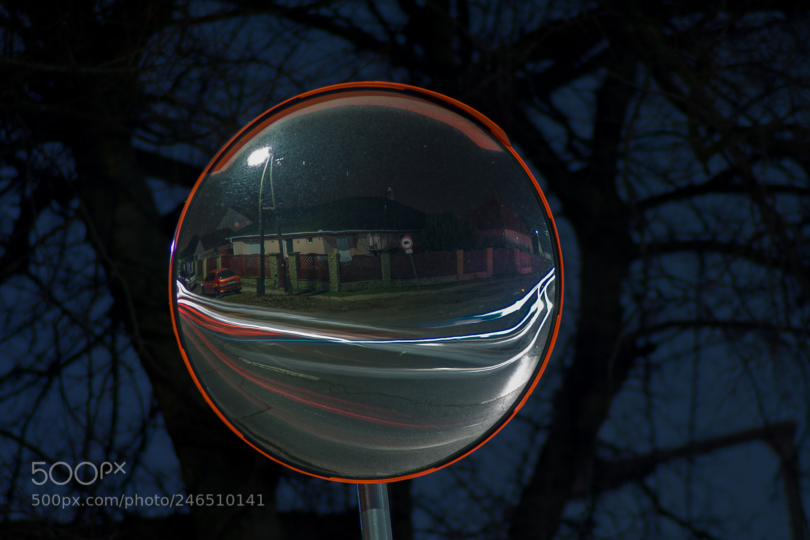 Nikon D3400 sample photo. Mirrored photography
