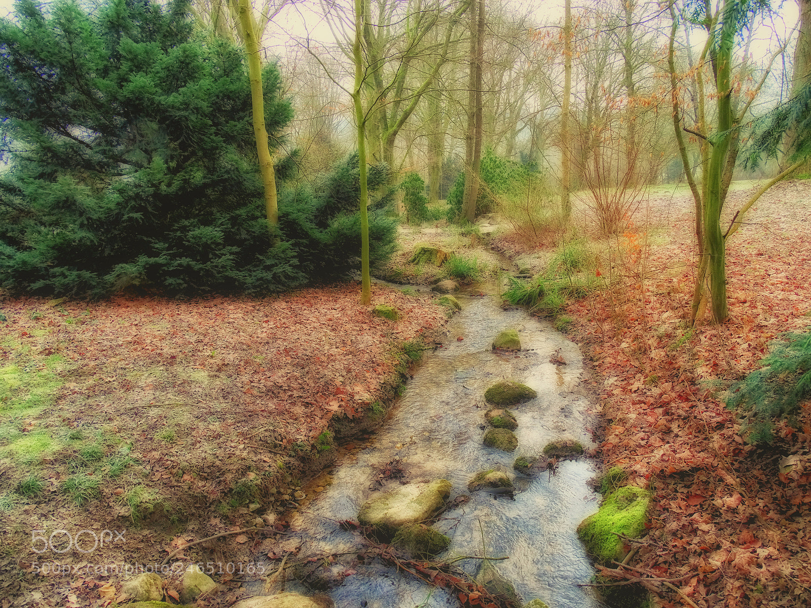 Sony Cyber-shot DSC-HX400V sample photo. Wald im februar photography