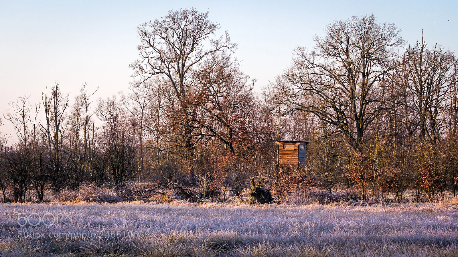 Canon EOS 60D sample photo. Early morning photography
