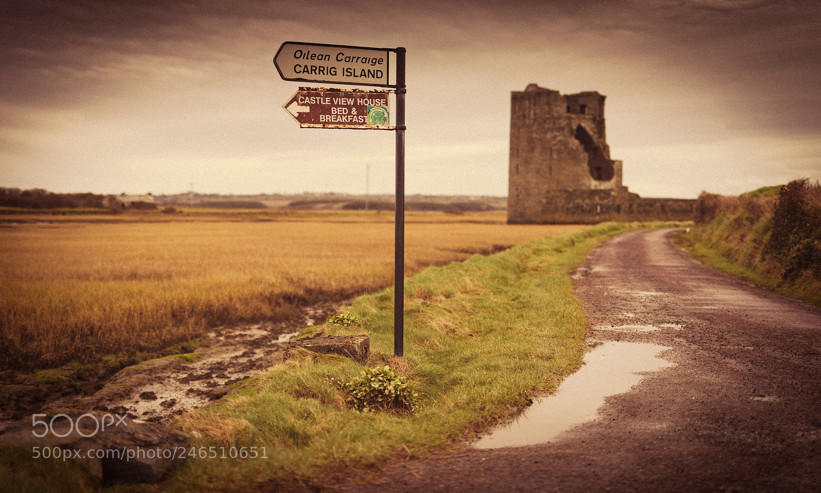 Nikon D810 sample photo. Carrigafoyle castle photography