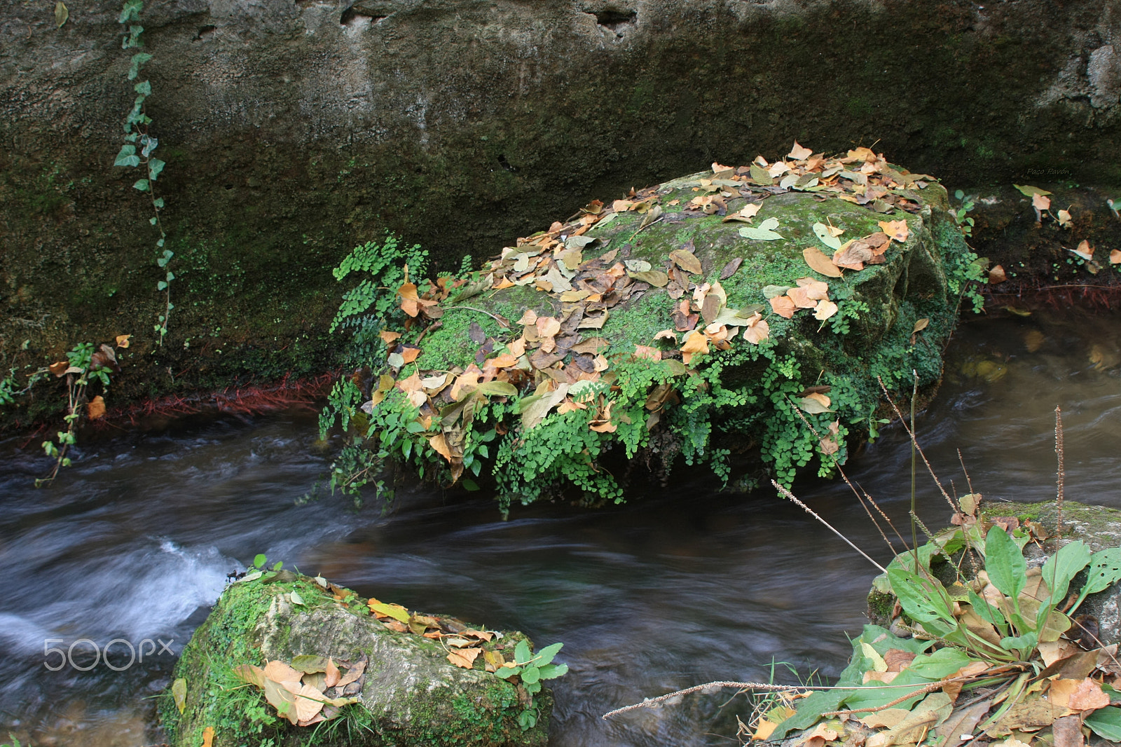 Canon EF 28-200mm F3.5-5.6 USM sample photo. Roca verde en el arroyo photography