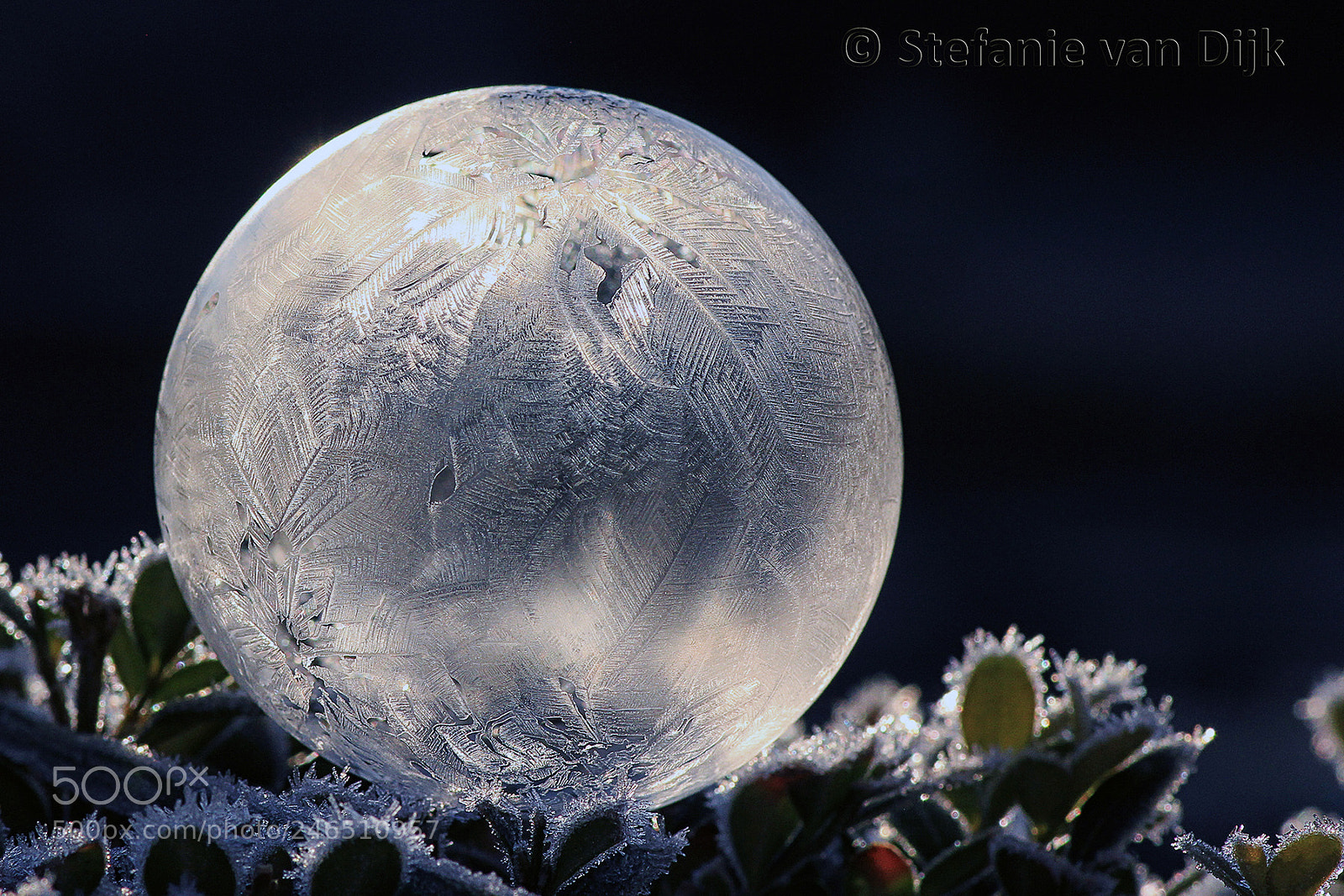 Canon EOS 60D sample photo. Frozen bubble 02 photography