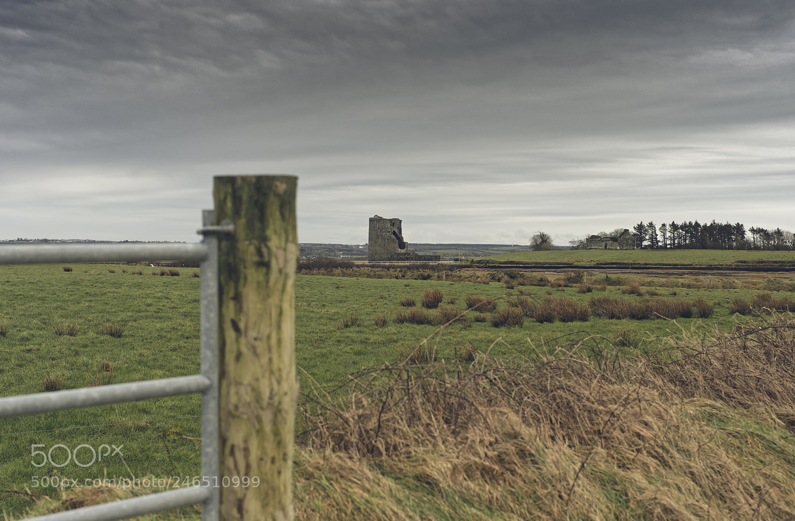Nikon D810 sample photo. Carrigafoyle castle 2 photography