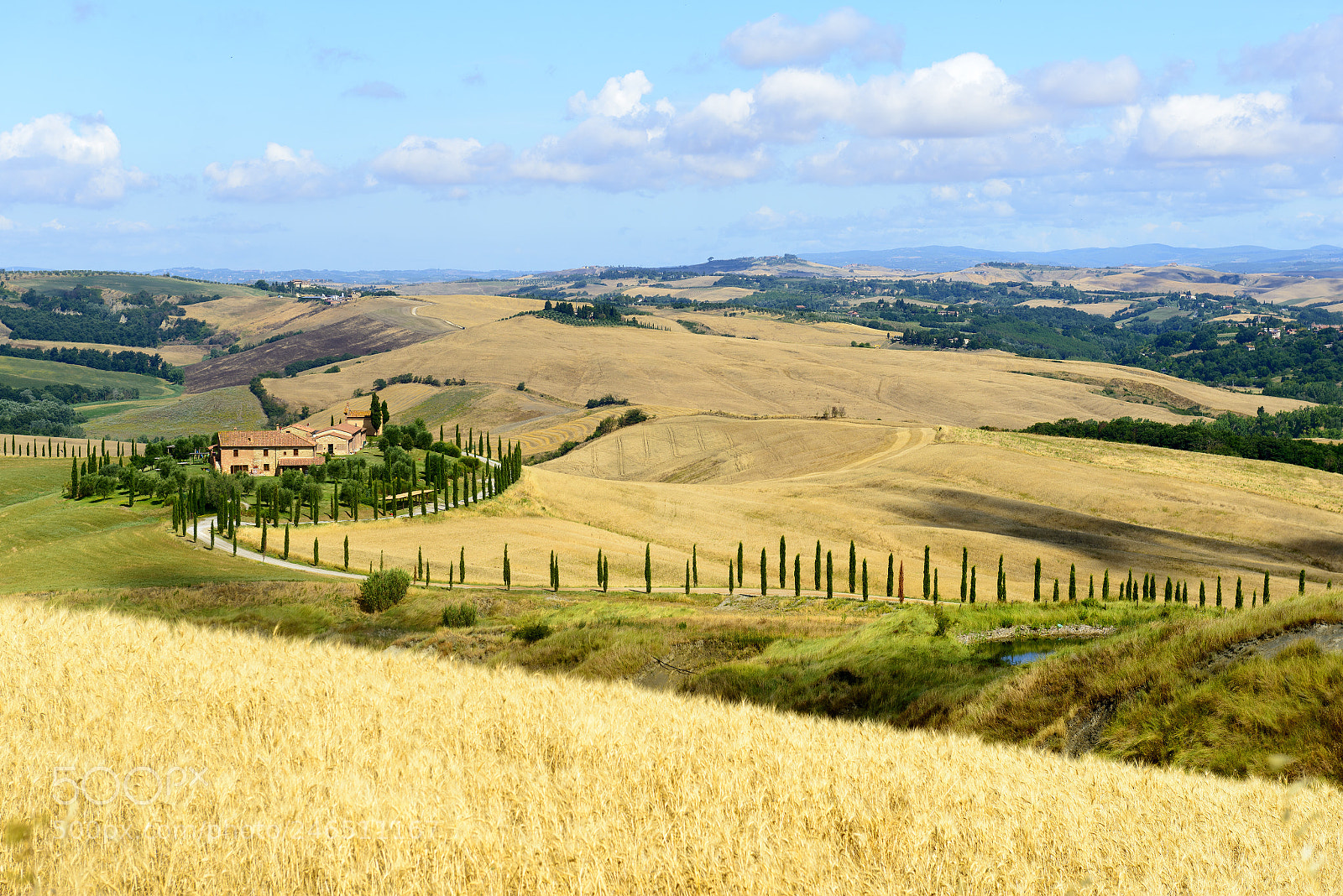 Nikon D800 sample photo. Crete senesi (tuscany, italy) photography
