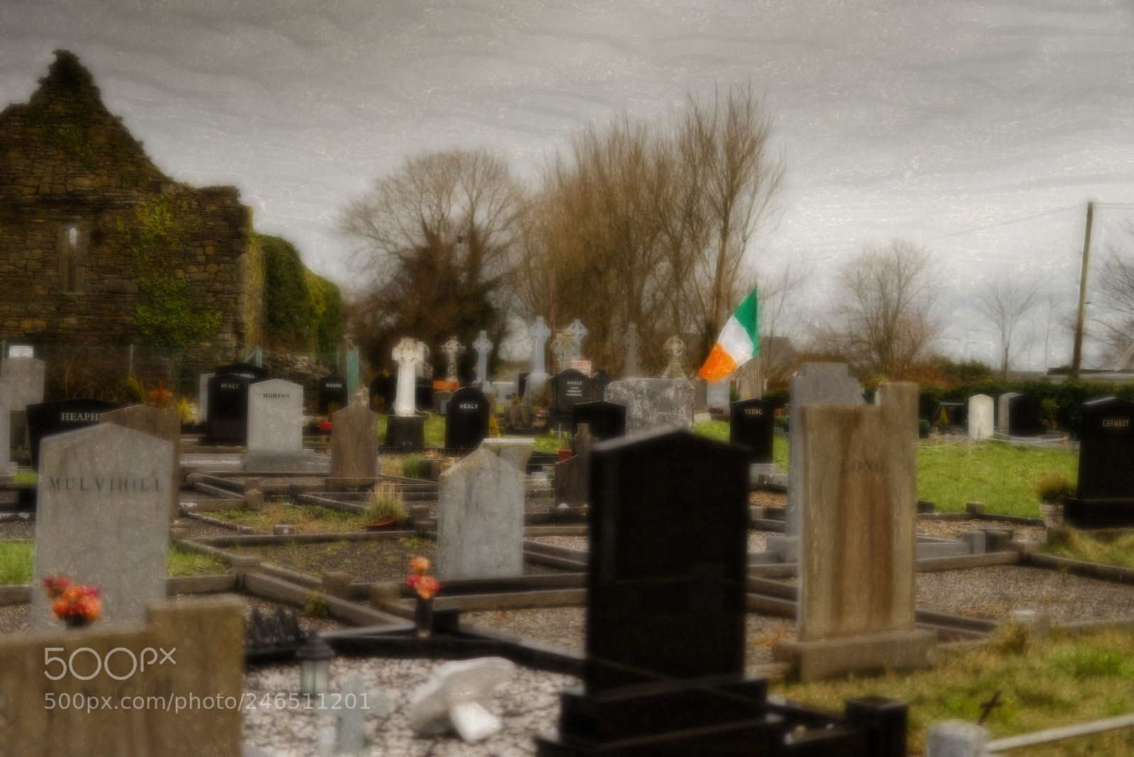 Nikon D810 sample photo. Ballylongford graveyard photography
