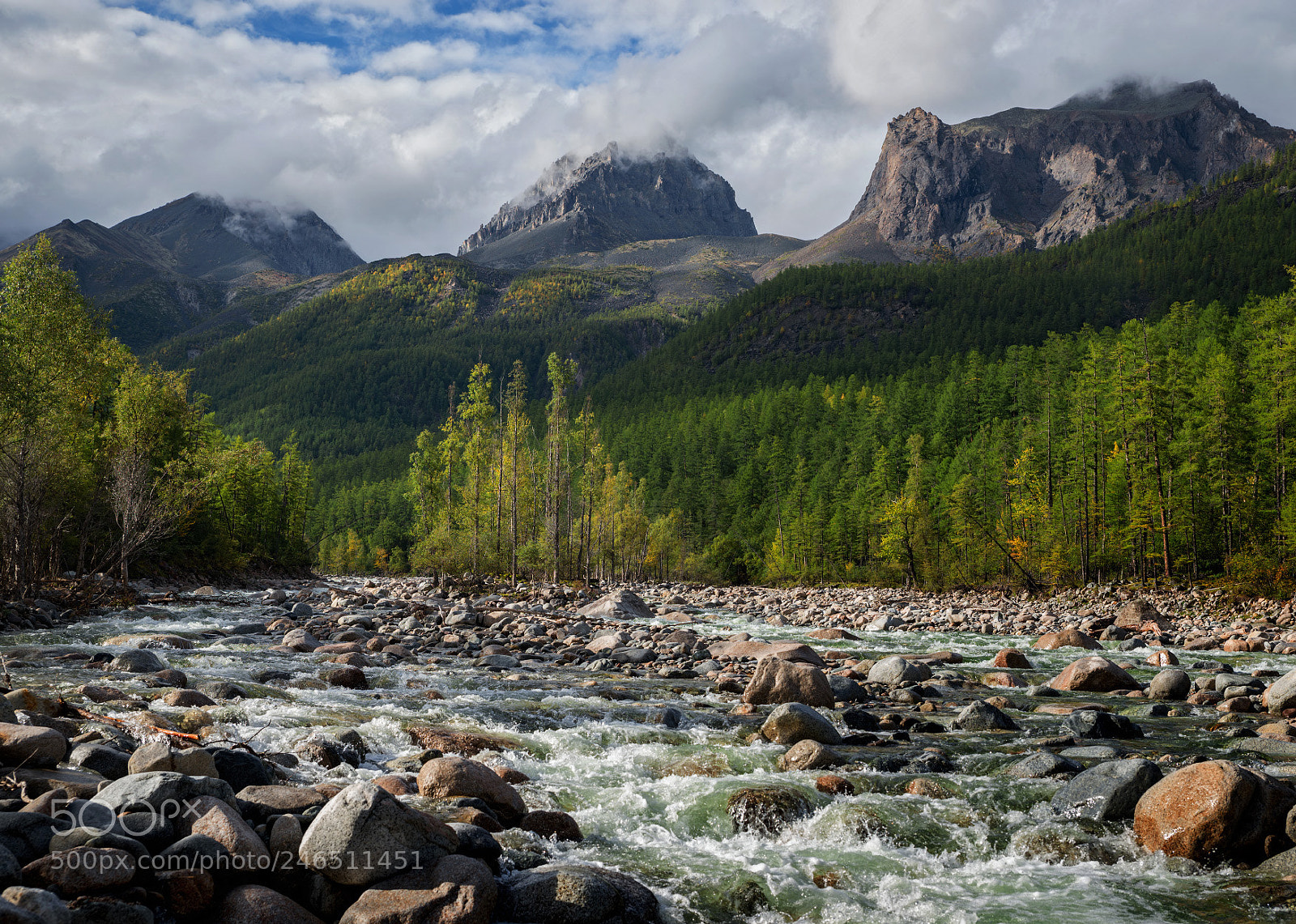 Nikon D610 sample photo. River upper sakukan photography