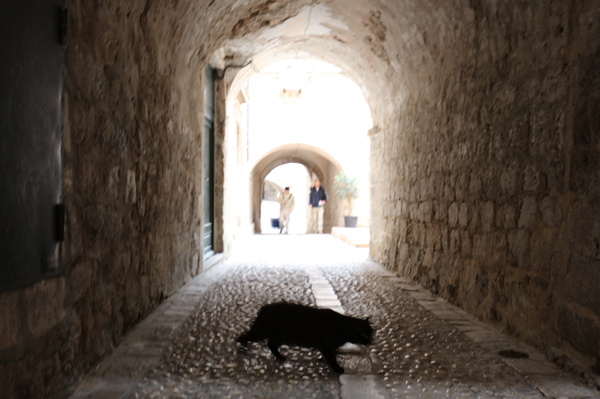 Canon EF 16-35mm F4L IS USM sample photo. Croatia photography