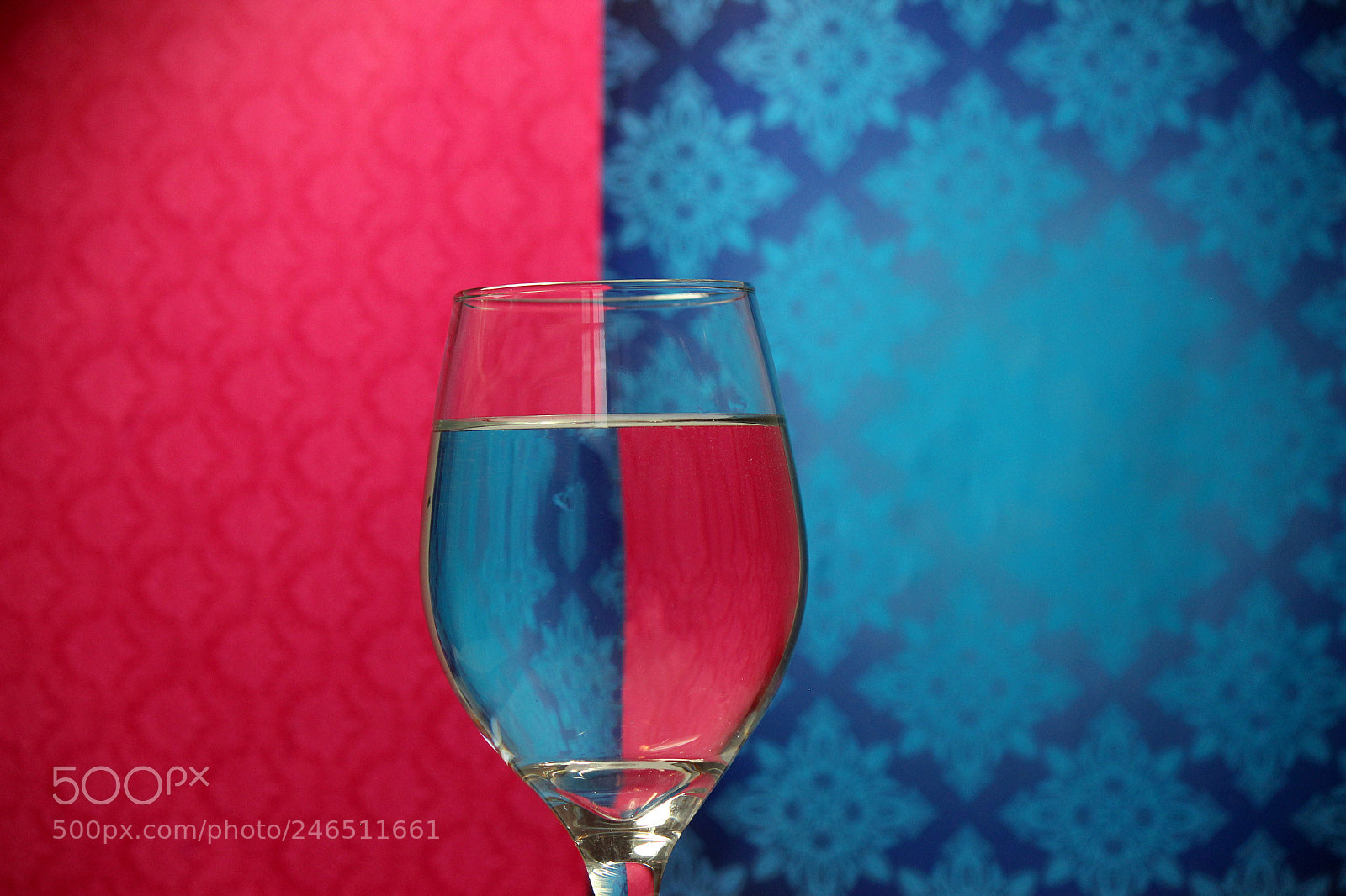 Canon EOS 600D (Rebel EOS T3i / EOS Kiss X5) sample photo. Fancy wineglass photography