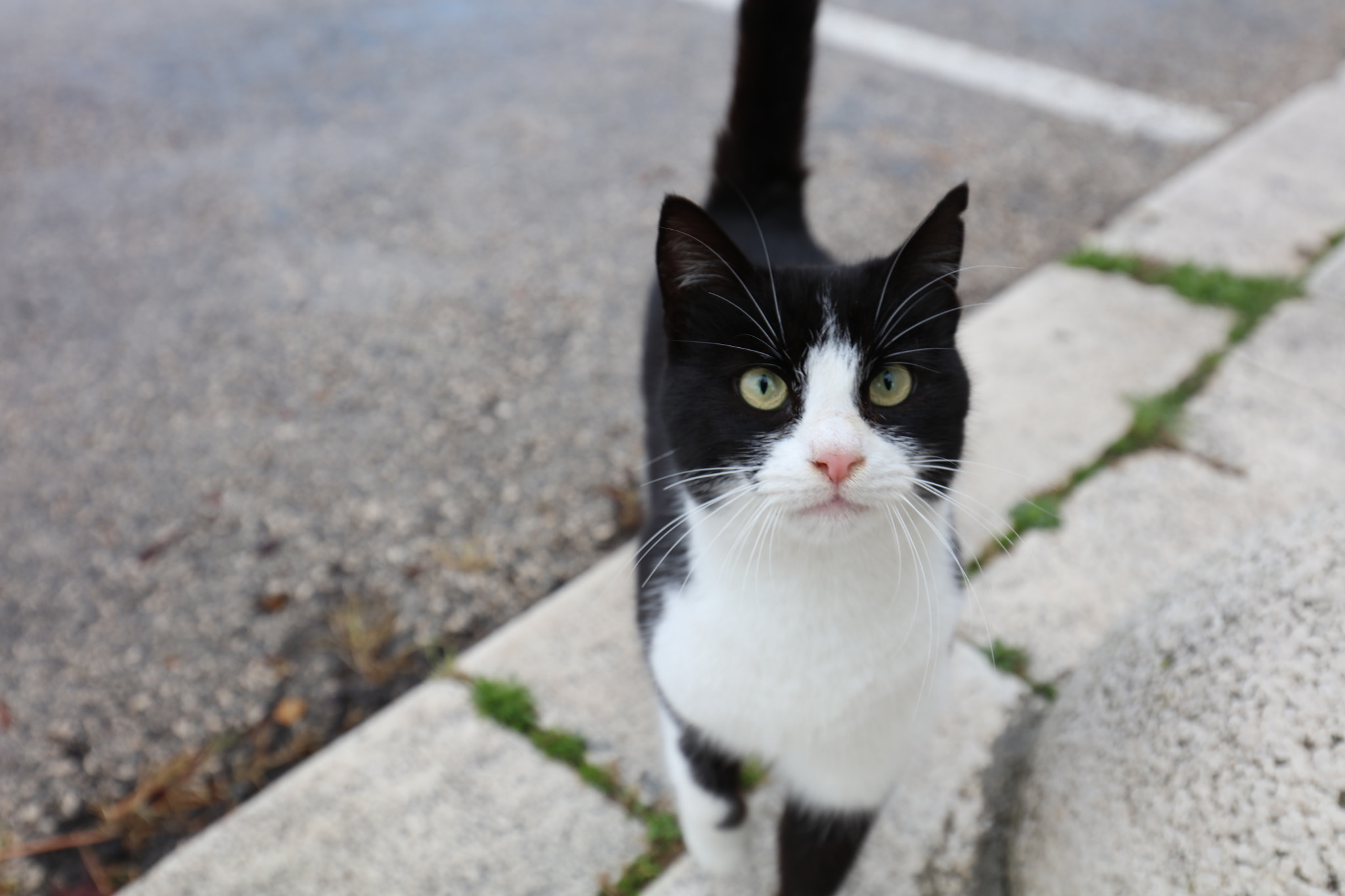 Canon EF 16-35mm F4L IS USM sample photo. Croatia photography