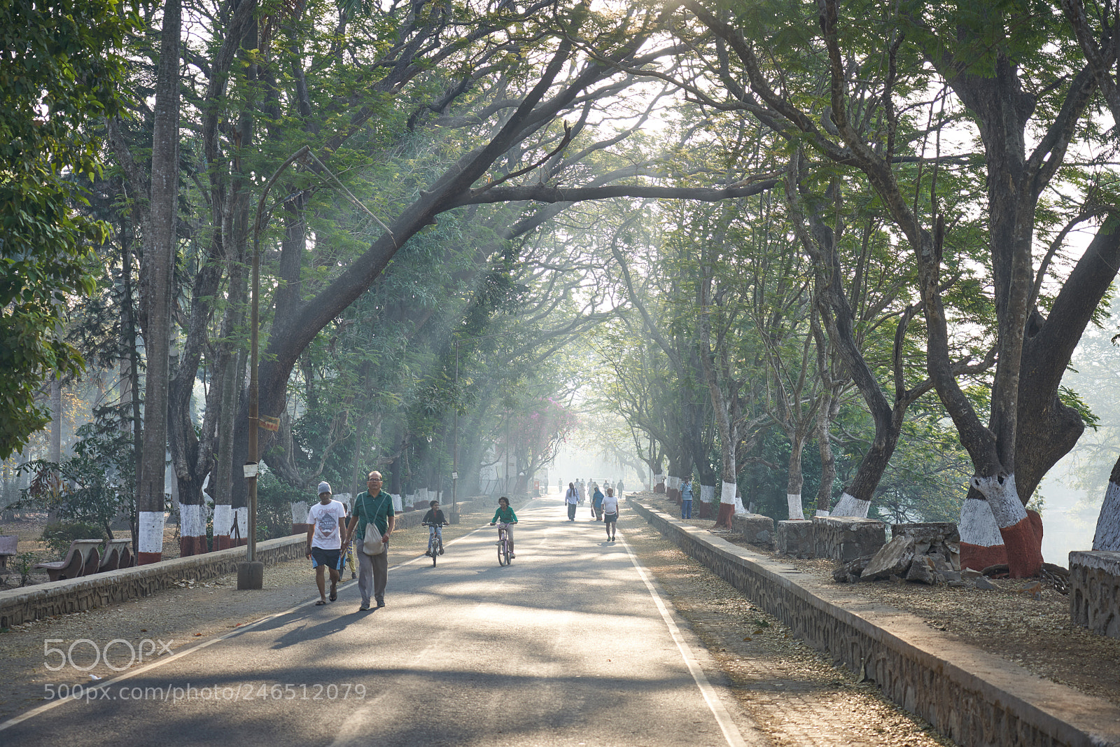 Sony a7R III sample photo. Morning rays photography