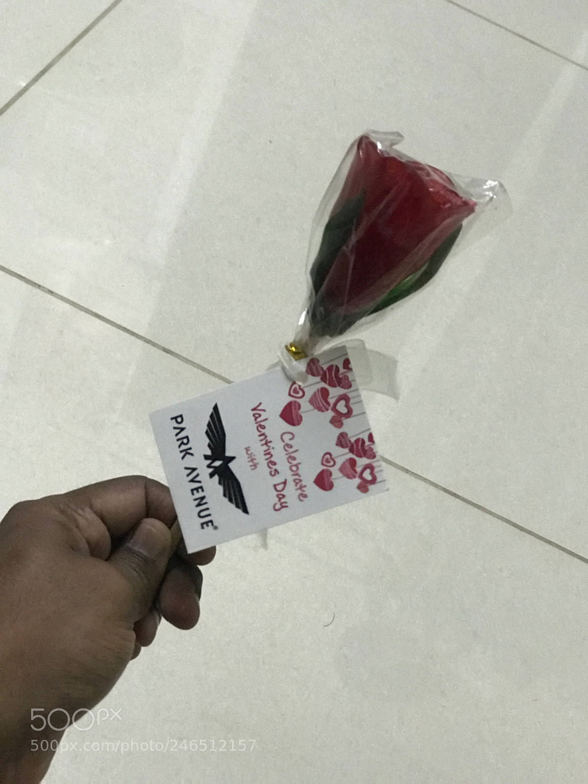 Apple iPhone 7 Plus sample photo. #valentine #candy #rose photography