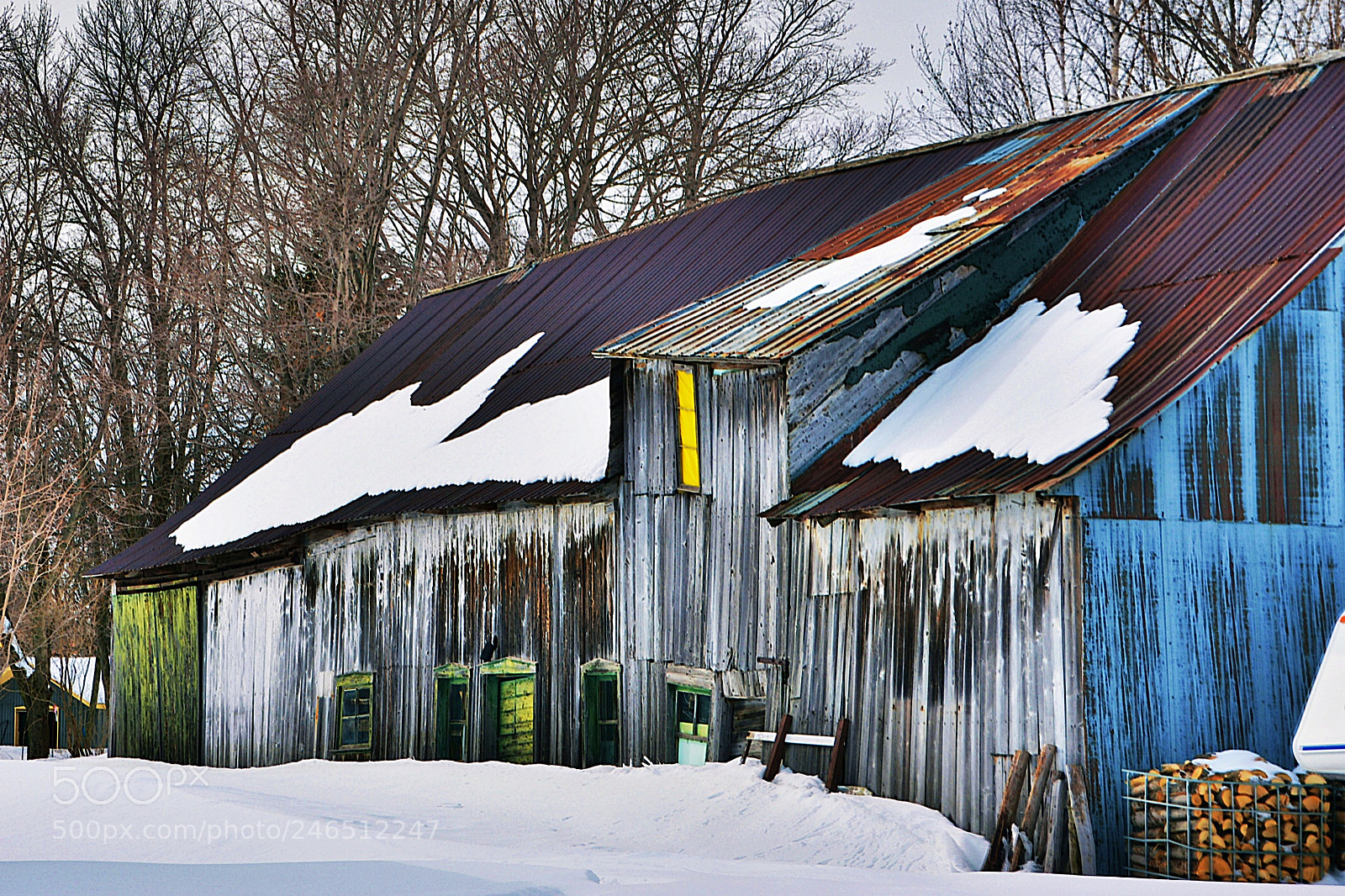 Nikon D7100 sample photo. Couleurs multiples photography