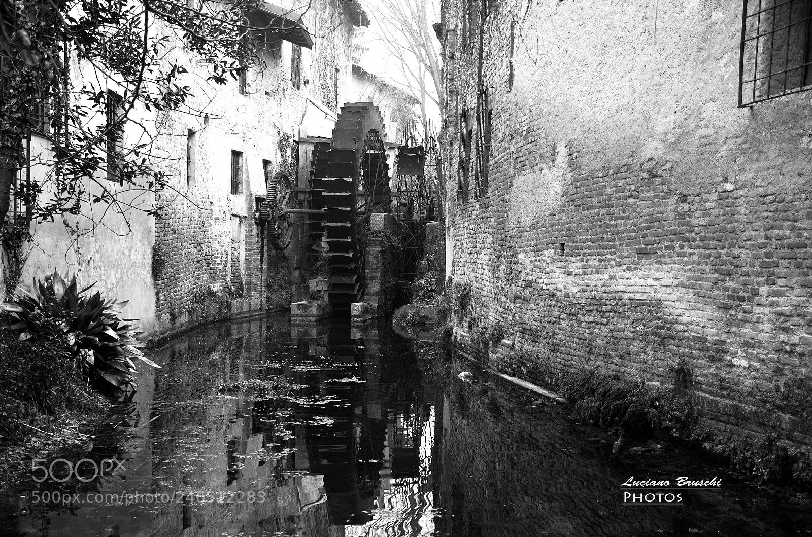 Pentax K-50 sample photo. Molino b&w photography