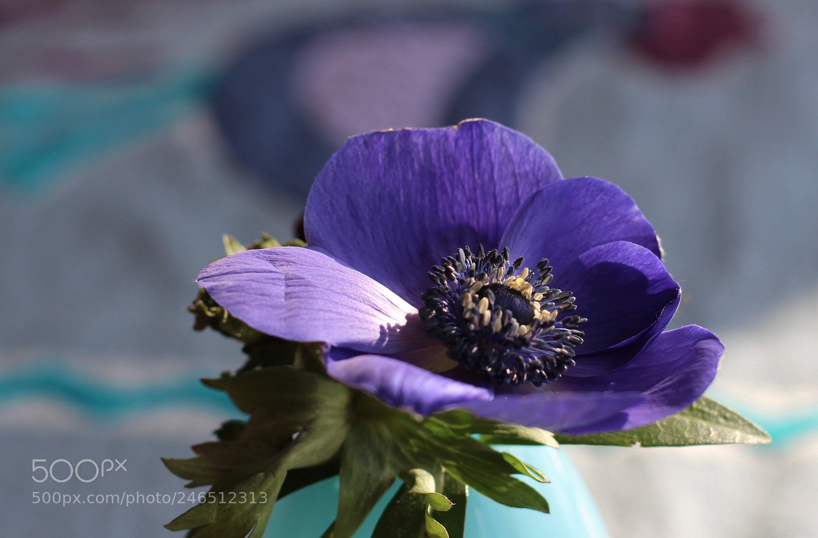 Canon EOS 700D (EOS Rebel T5i / EOS Kiss X7i) sample photo. Sun - flower photography