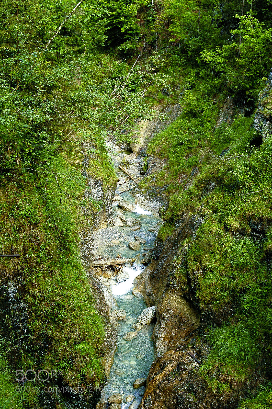 Nikon D70 sample photo. Klamm photography