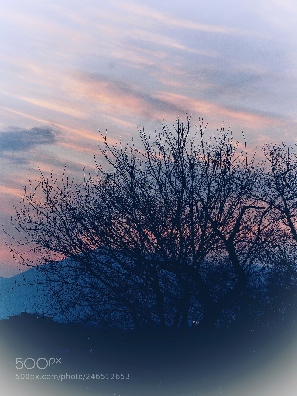 Nikon D5200 sample photo. Streaks of sunset photography