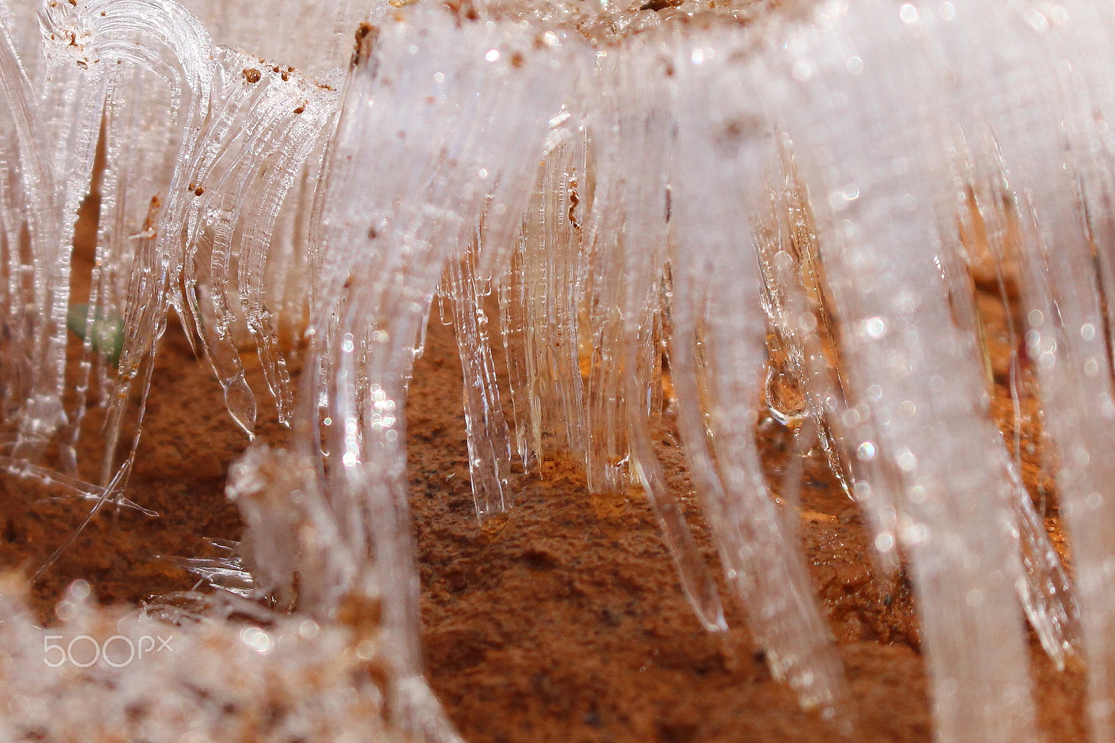 Canon EOS 100D (EOS Rebel SL1 / EOS Kiss X7) sample photo. Corridor of ice photography