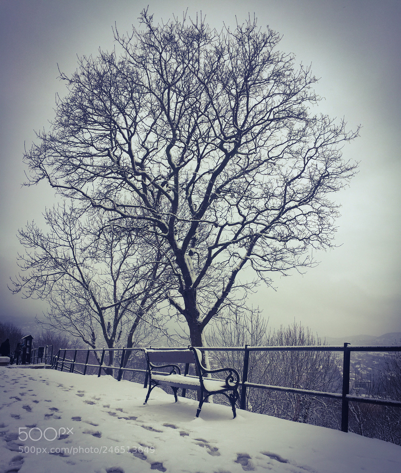 Apple iPhone 6 sample photo. Untitled photography