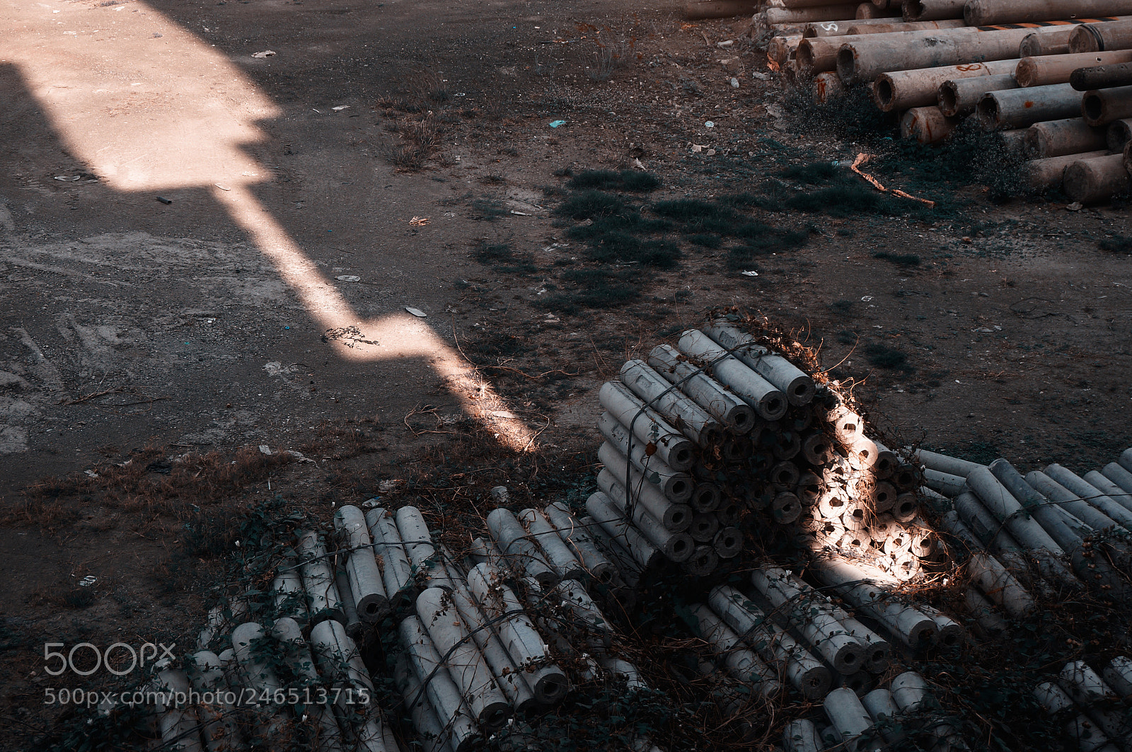 Sony Alpha NEX-5R sample photo. Untitled photography